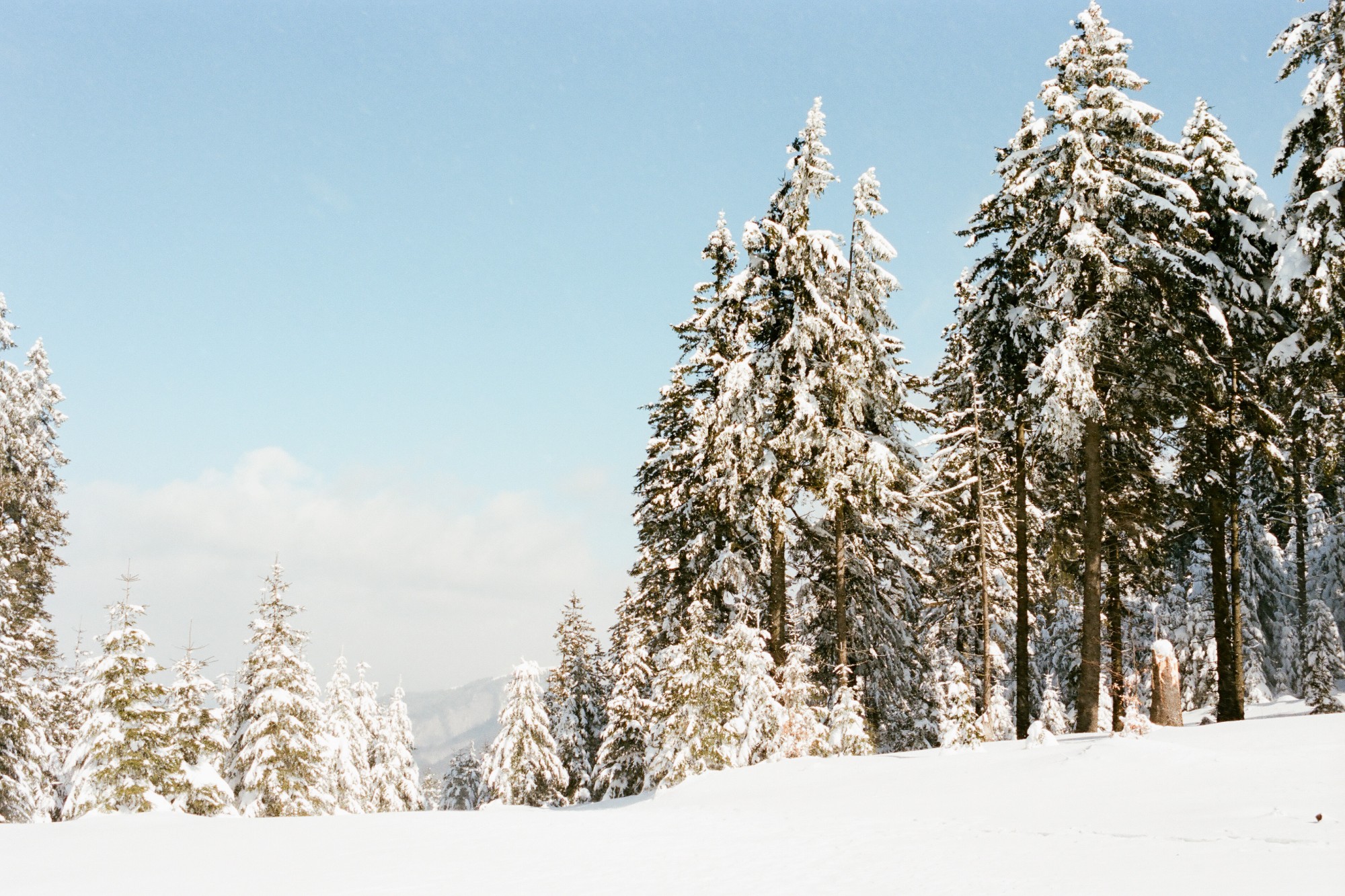 Tatra hotalpazas fatra-21.jpg