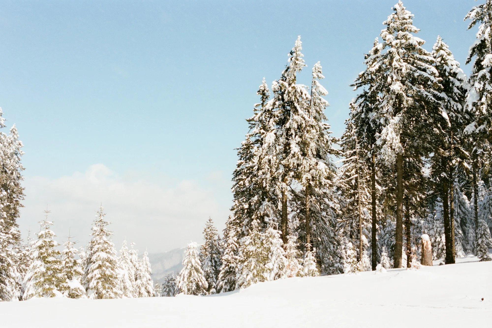 Tatra hotalpazas fatra-21.jpg