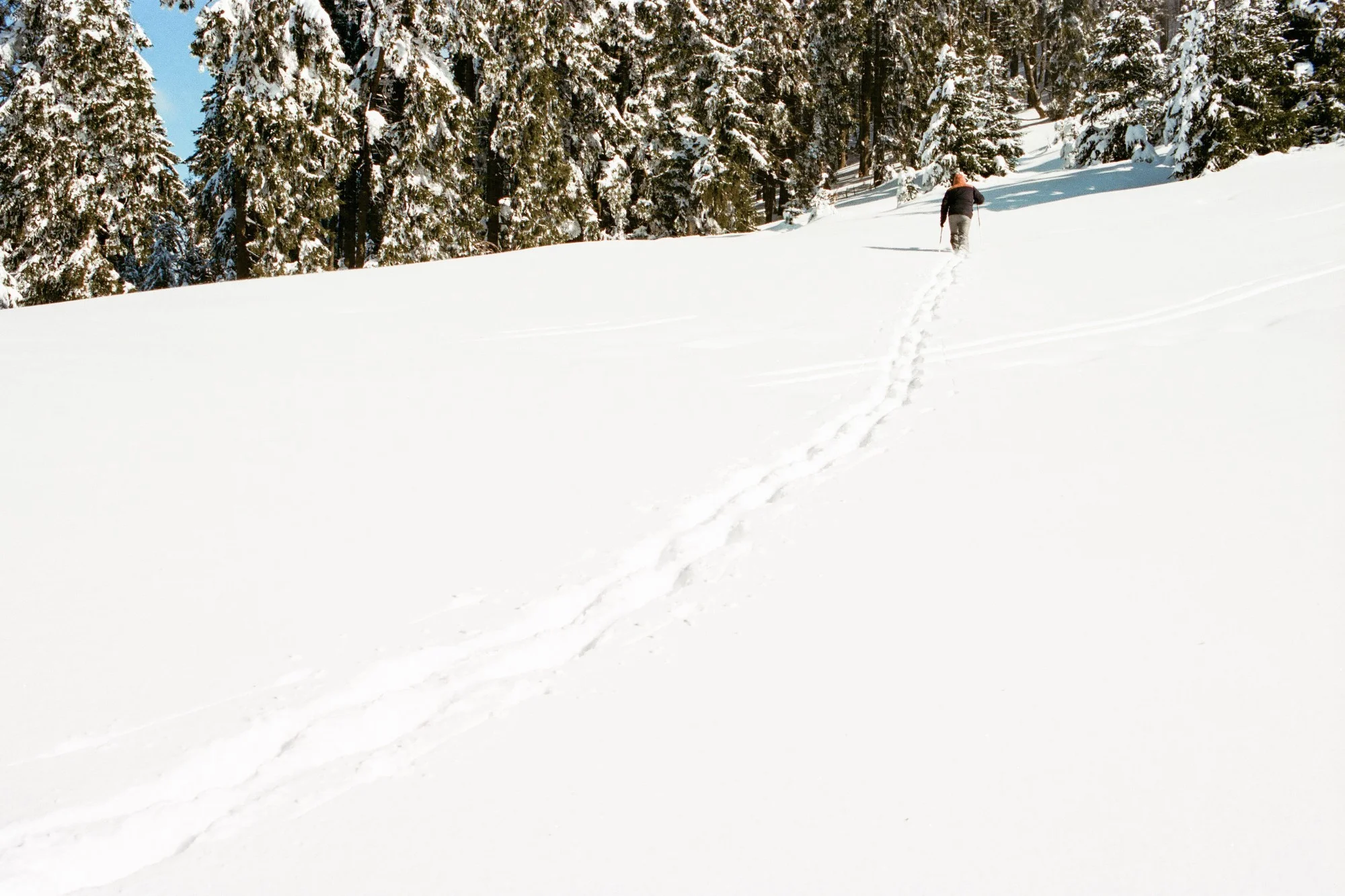 Tatra hotalpazas fatra-24.jpg