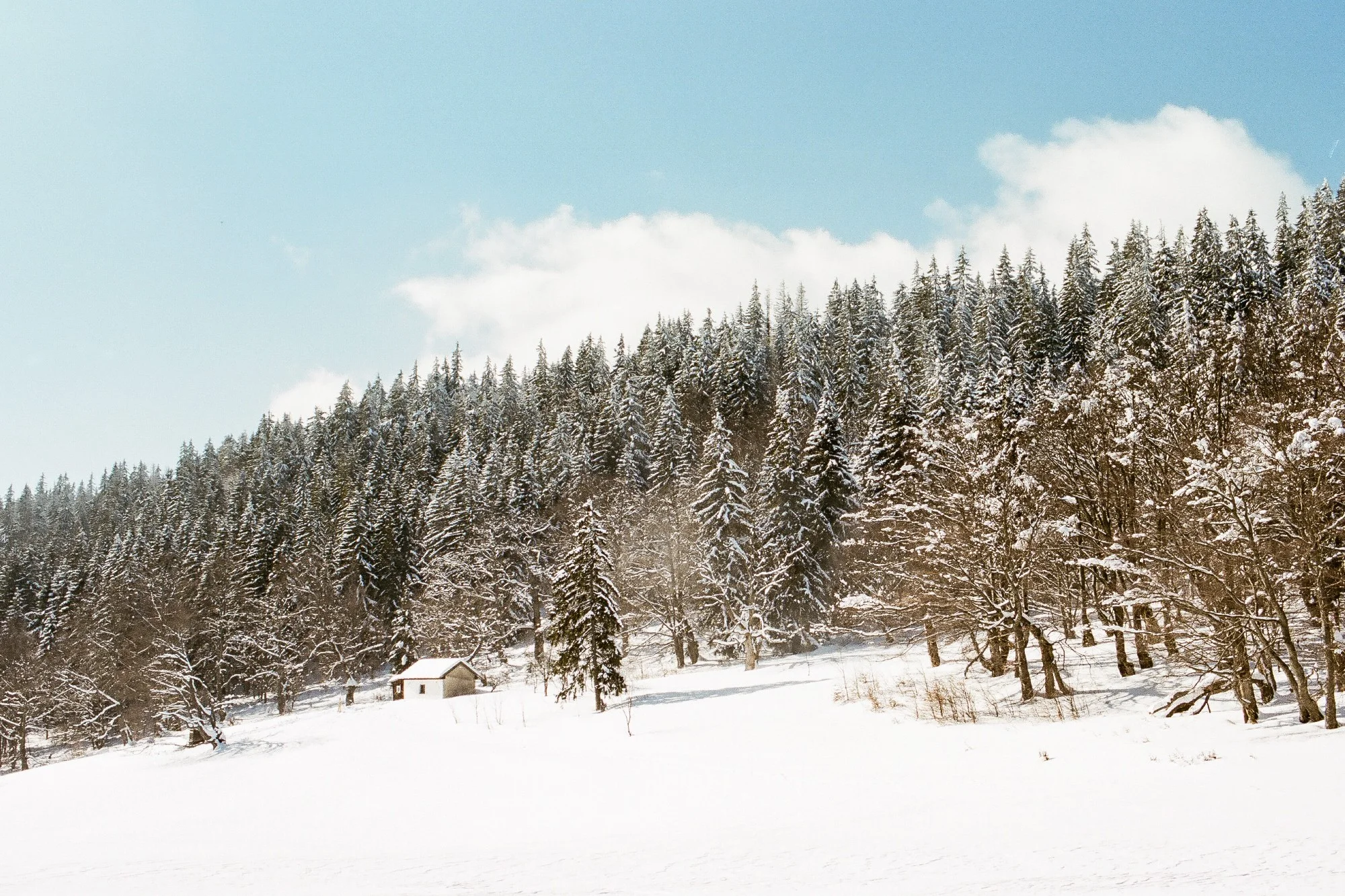 Tatra hotalpazas fatra-26.jpg