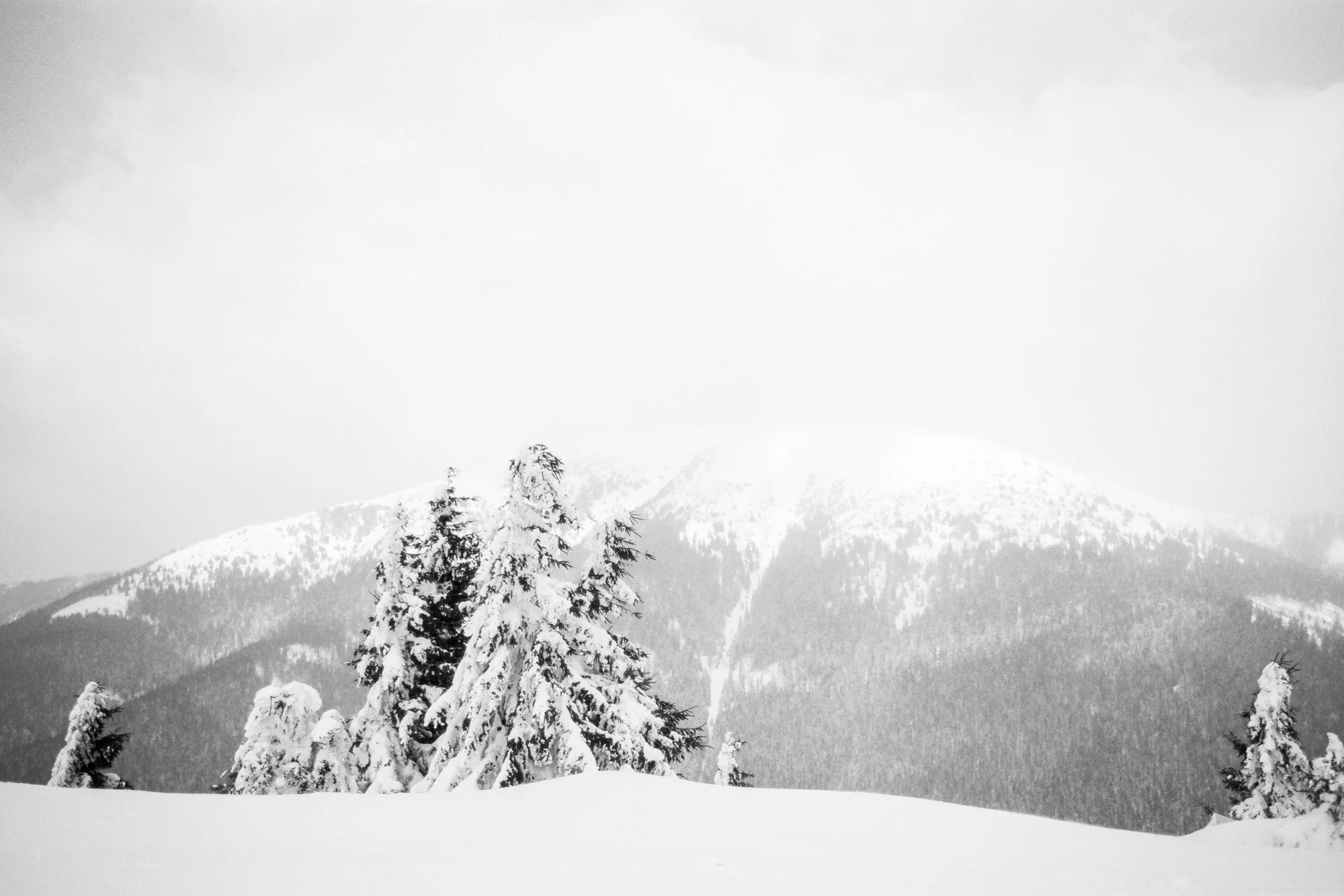 Tatra hotalpazas fatra-29.jpg