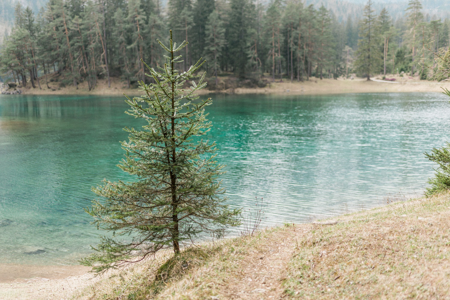 engagement session grüner see austria-2.jpg