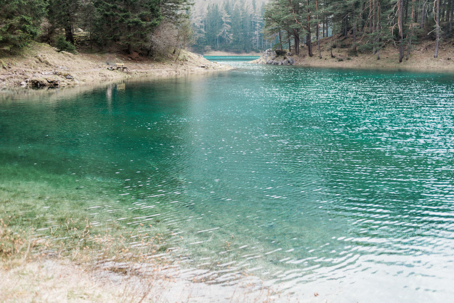 engagement session grüner see austria-3.jpg