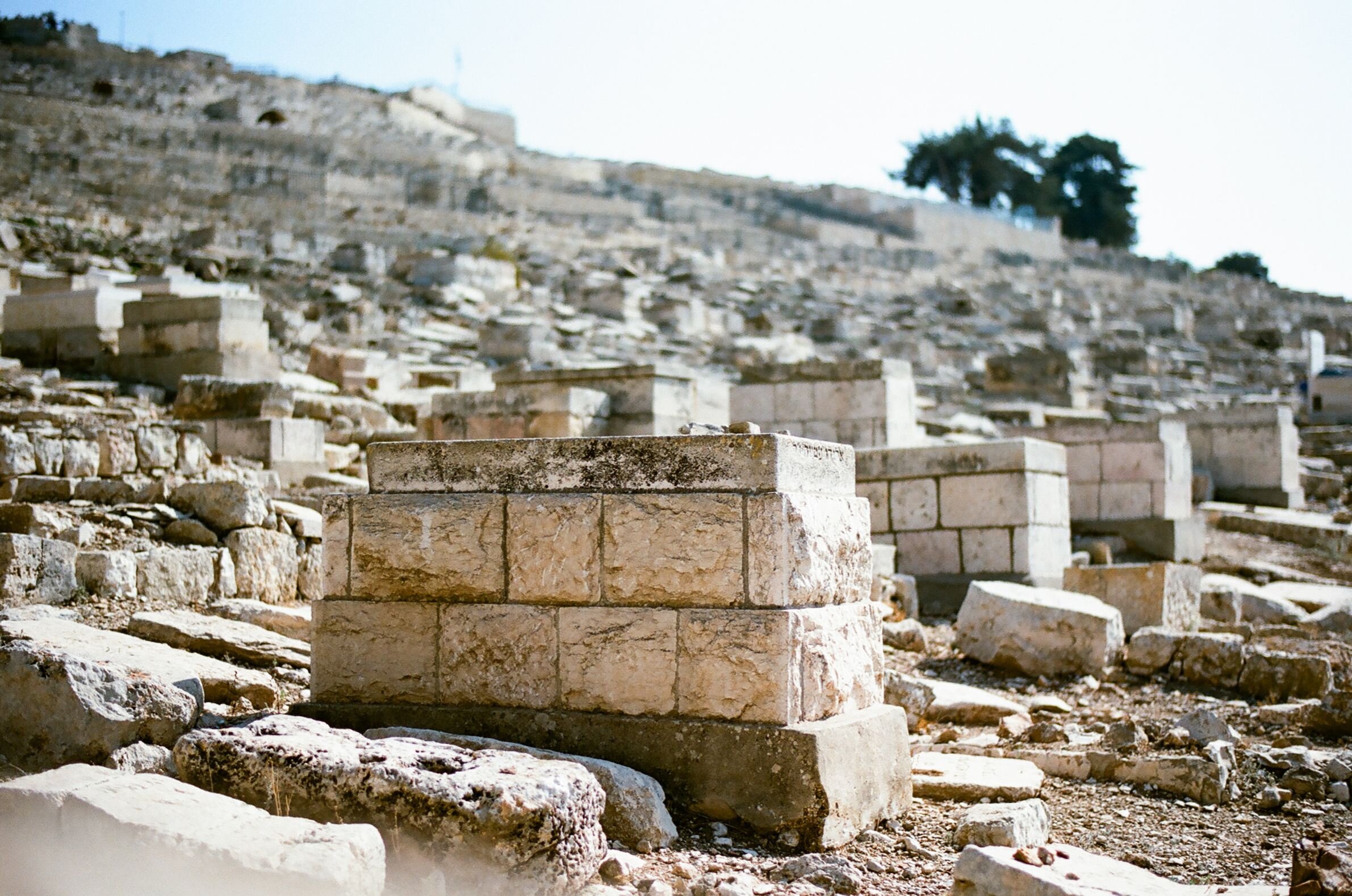 Beloved Jerusalem photographs (5).jpg