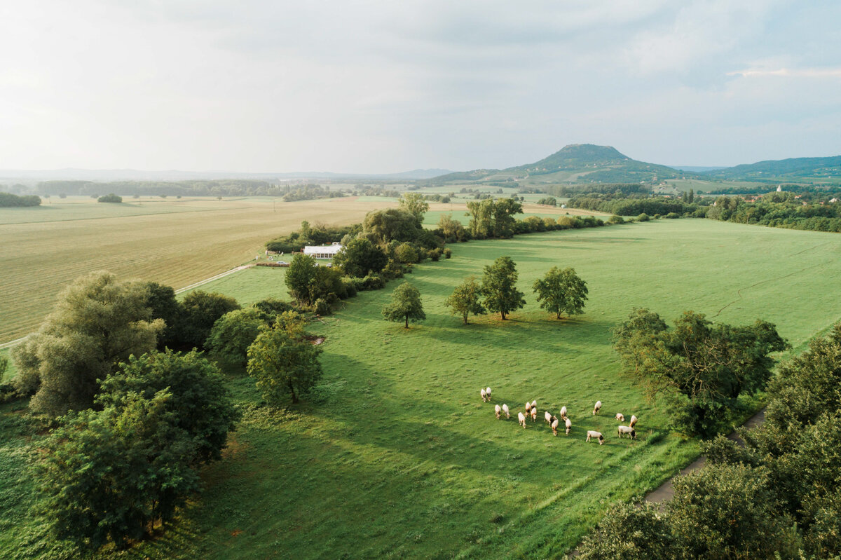 Eskuvo_Istvandy liget_erzelemteli_fotos_balaton_kali medence-42.jpg