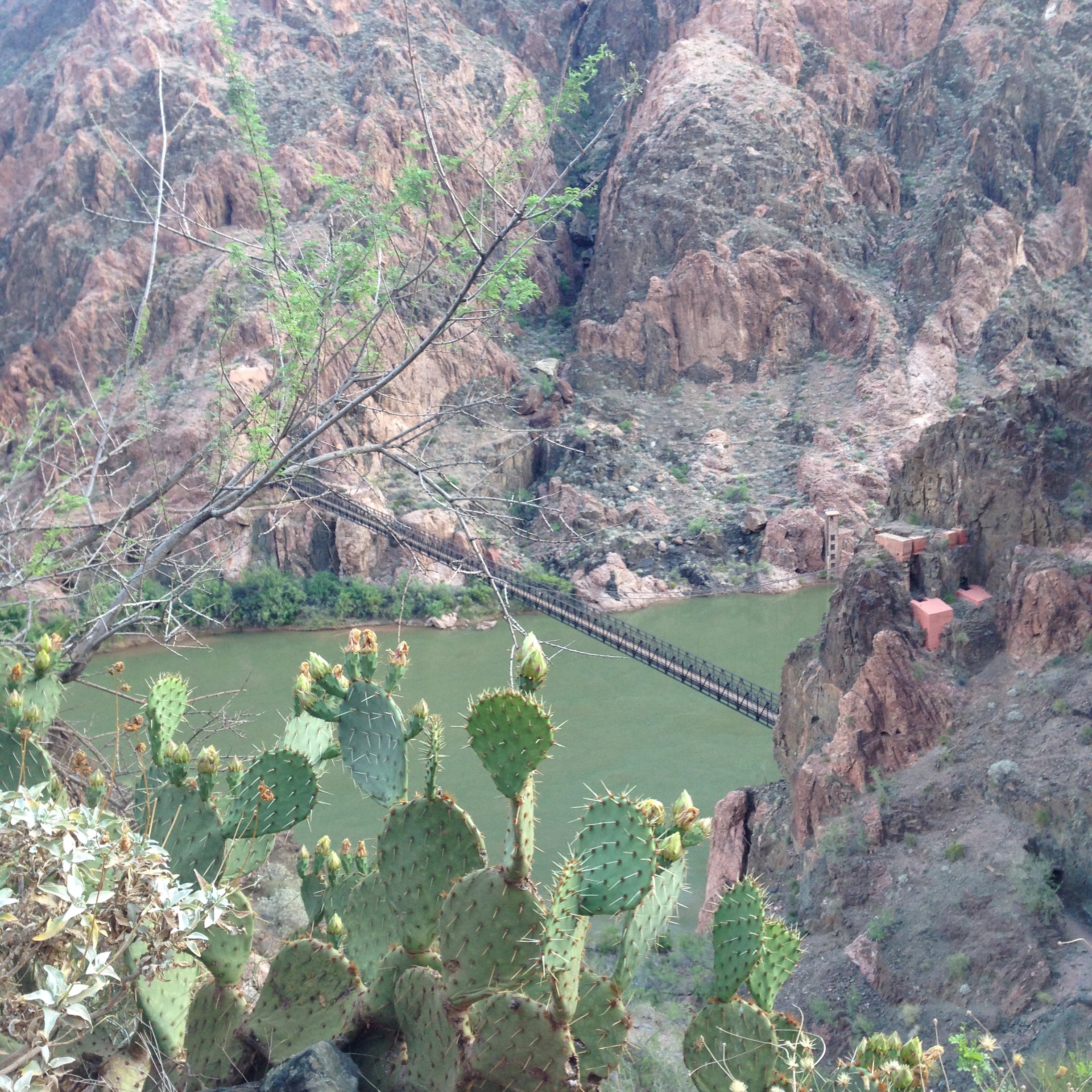 THE VIEW!