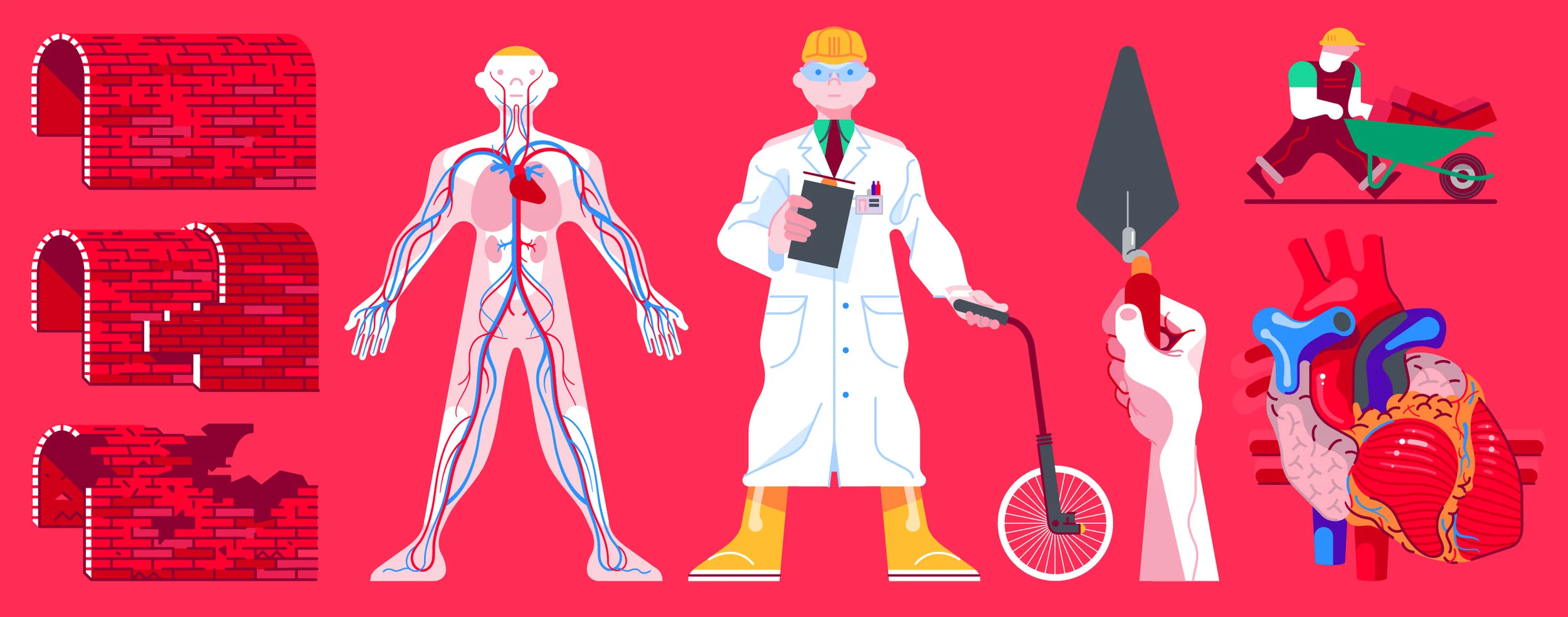 British Heart Association - Animation Elements