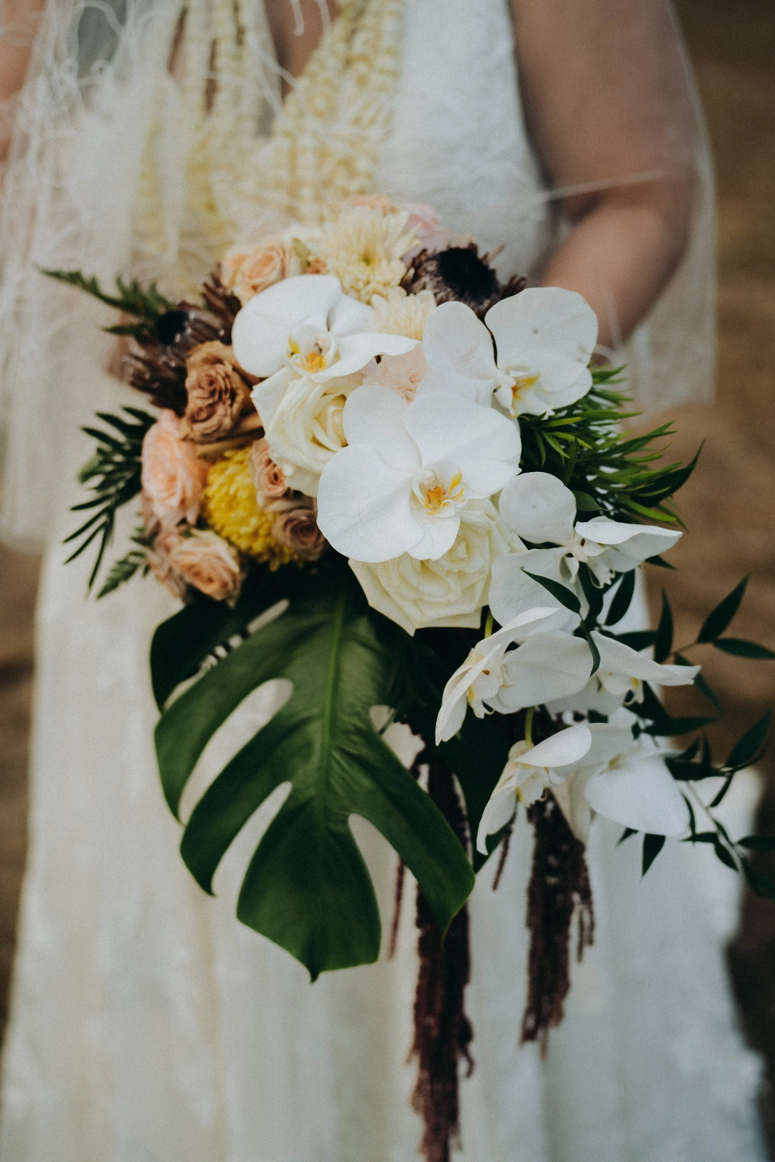 Jas+Alec-44.jpg