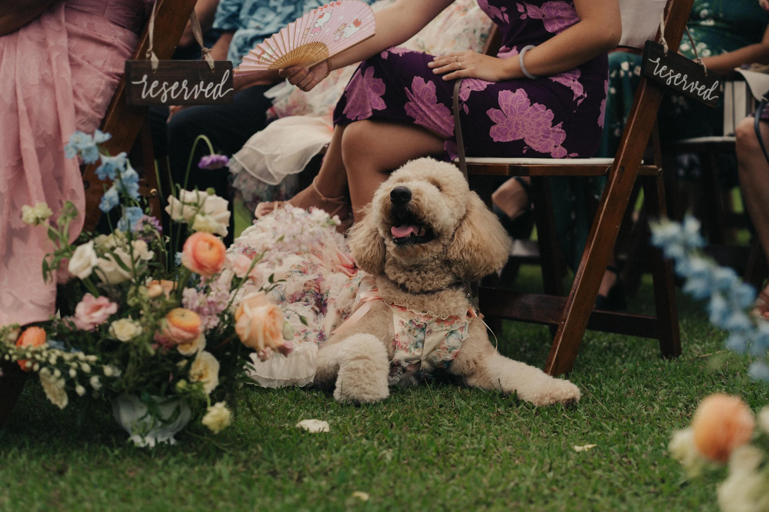 Tyler+Amyss-15.jpg