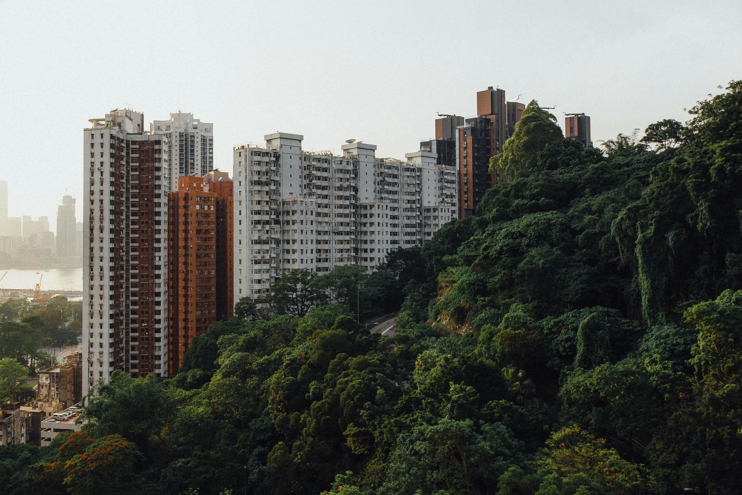 Hong Kong Final -100.jpg