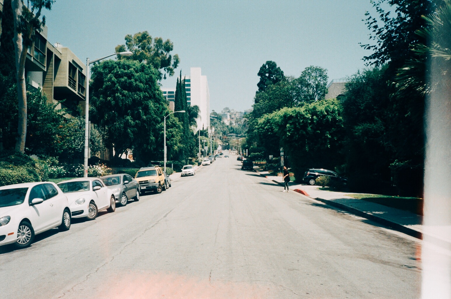 LA FILM EXPORT26.JPG