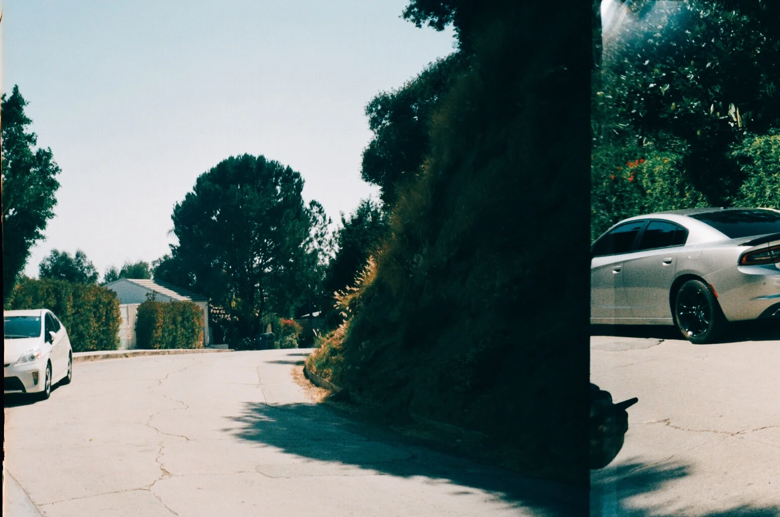 LA FILM EXPORT36.JPG