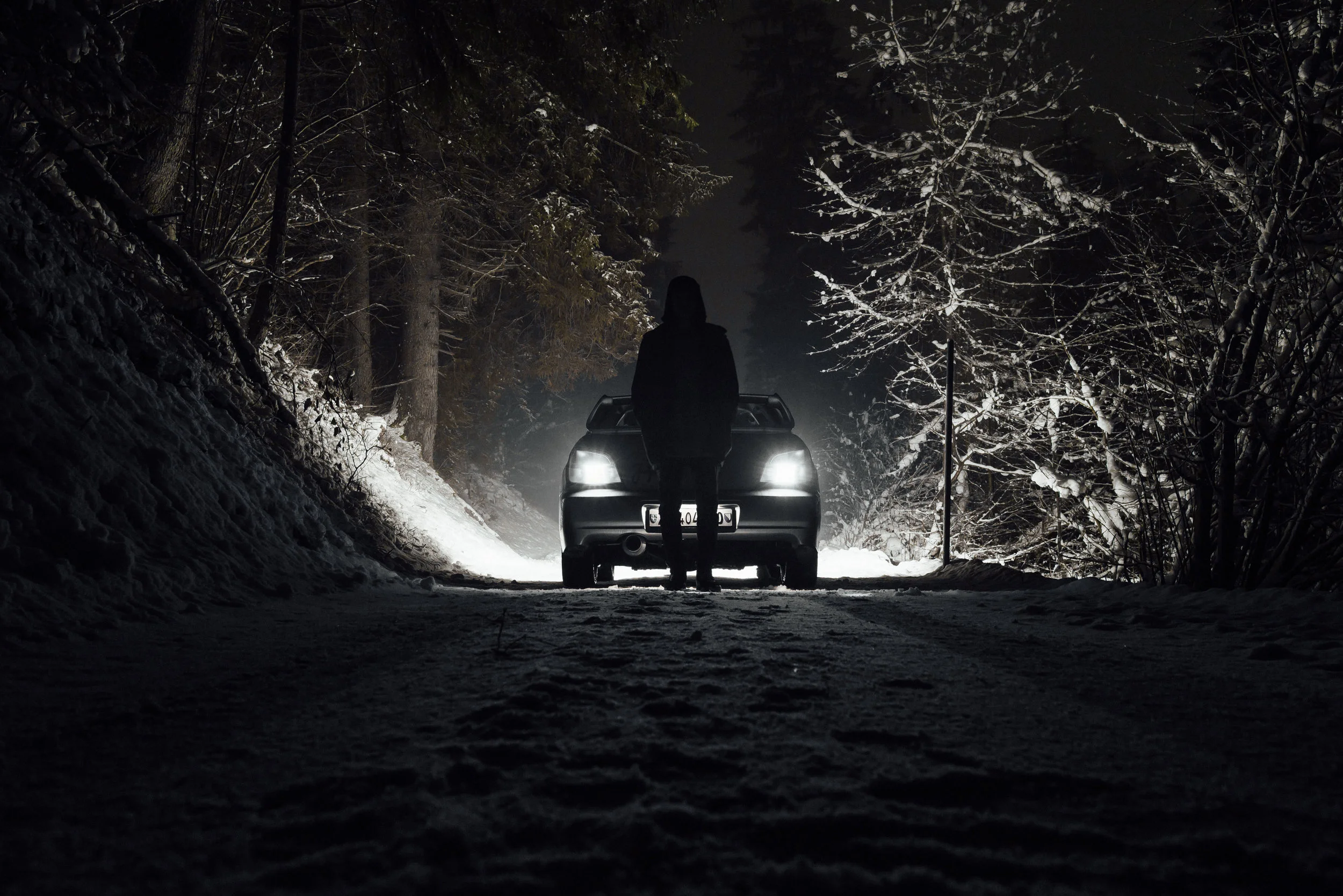 Switz Landscape-1 copy.jpg