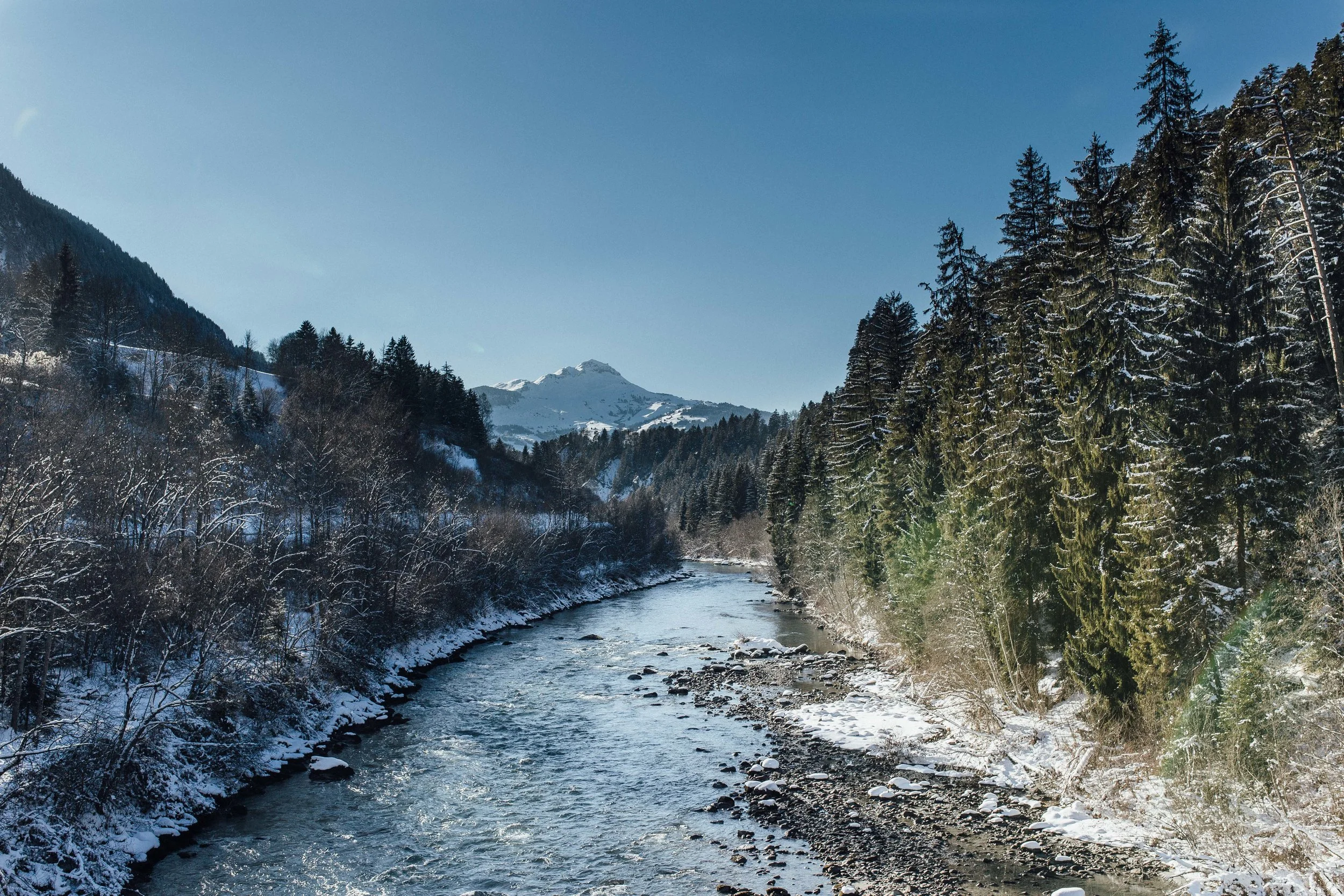 Switz Website-22.jpg