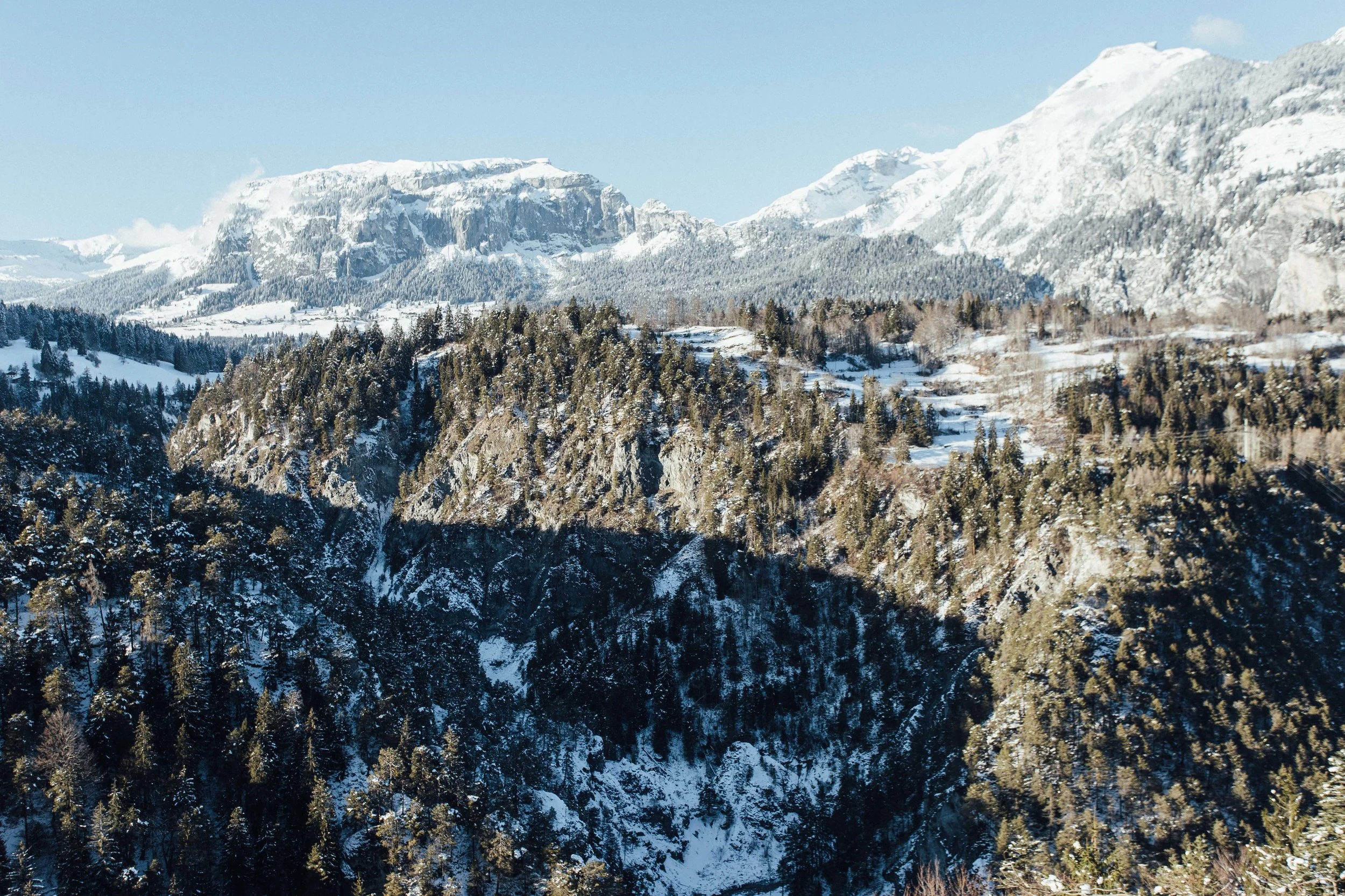 Switz Website-23.jpg