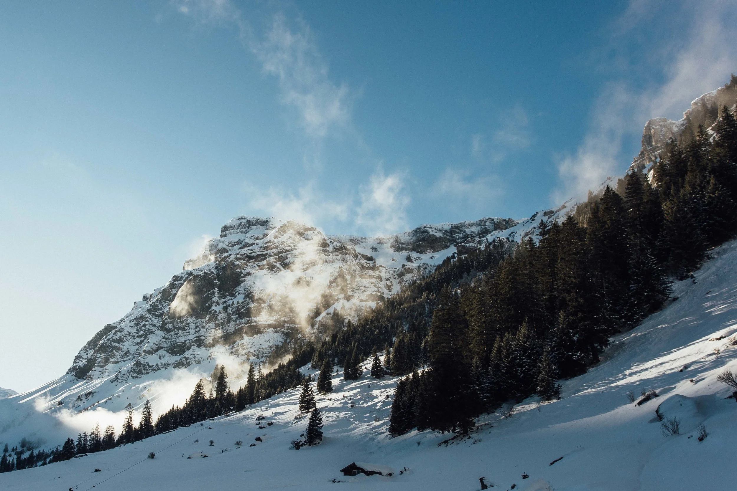 Switz Website-58.jpg