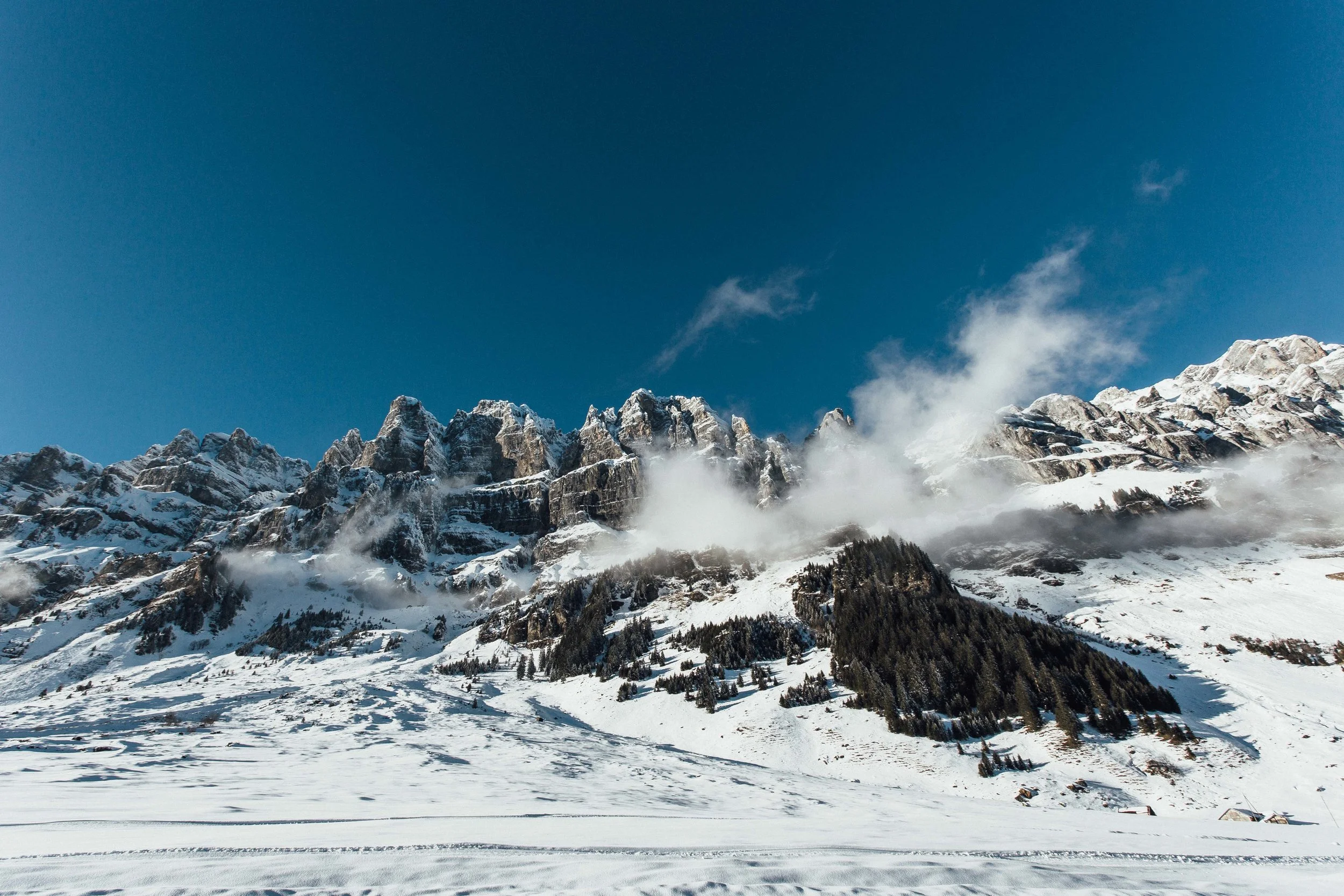 Switz Website-59.jpg