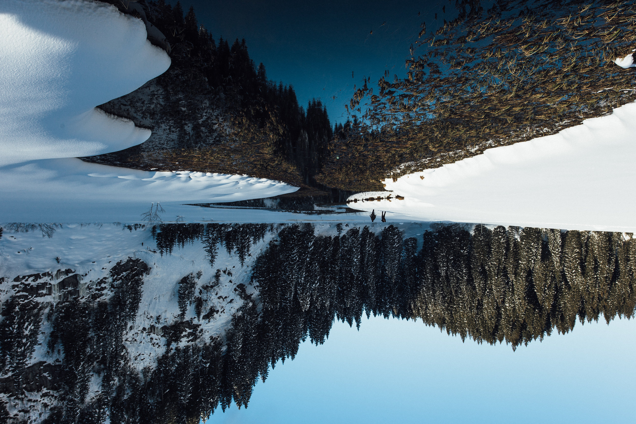swiss more-5.jpg
