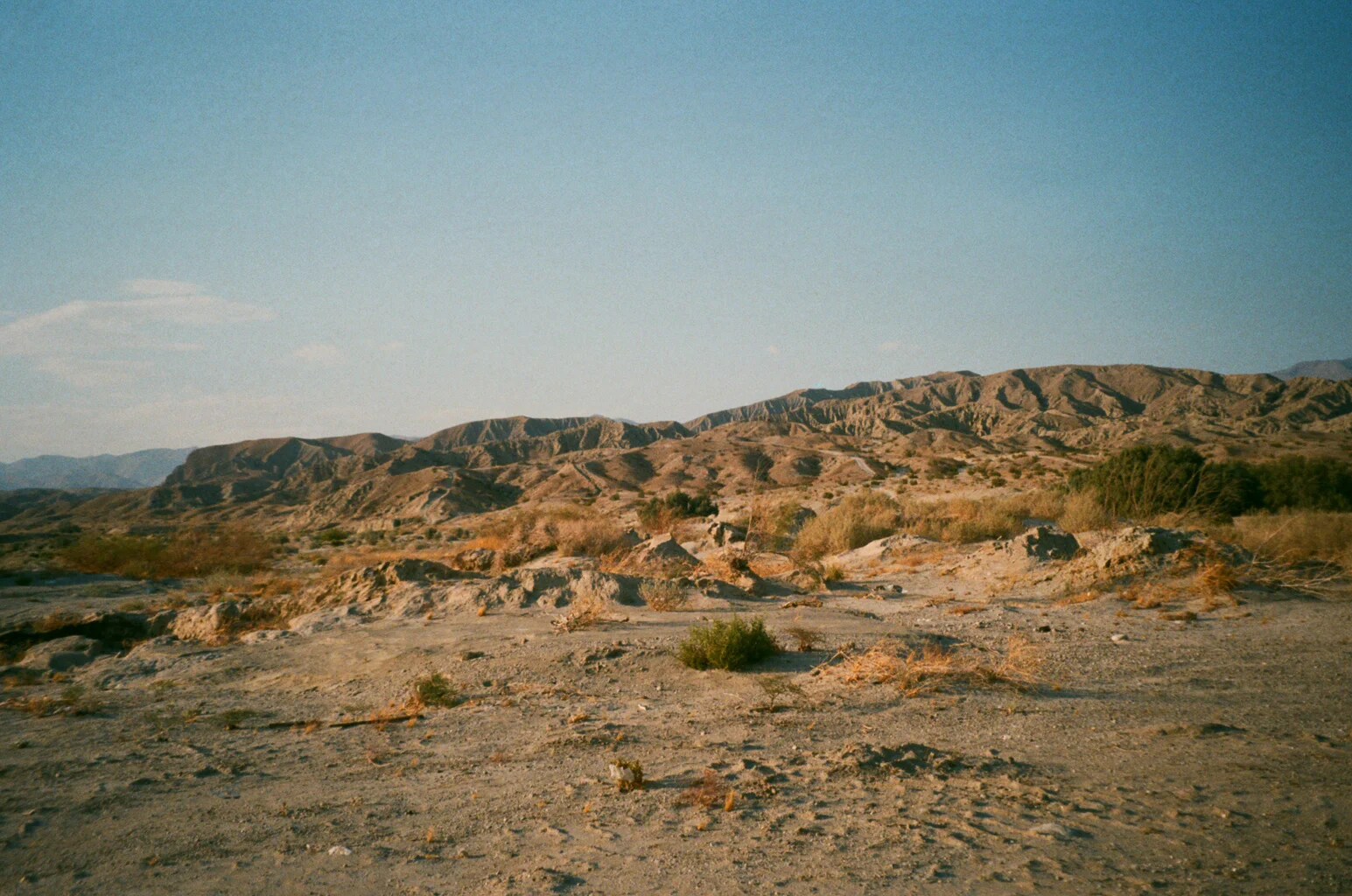film-6.jpg
