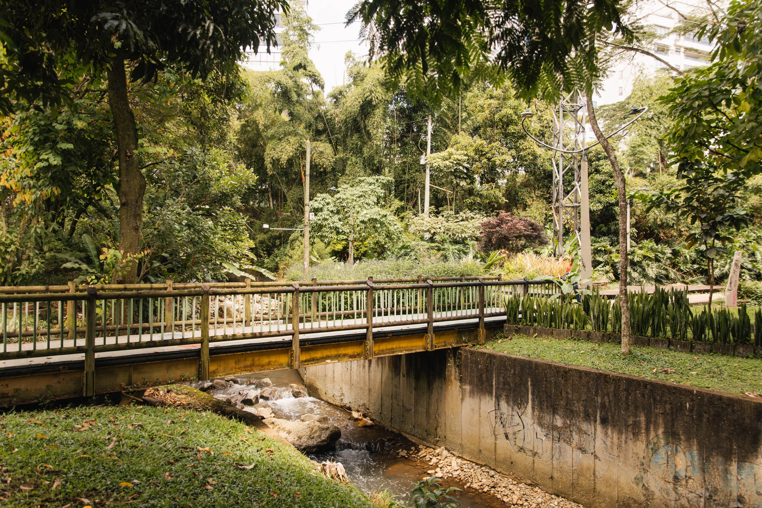 ccolombia-33.jpg