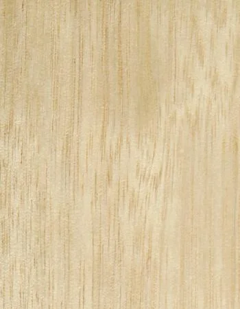 Tasmanian Oak