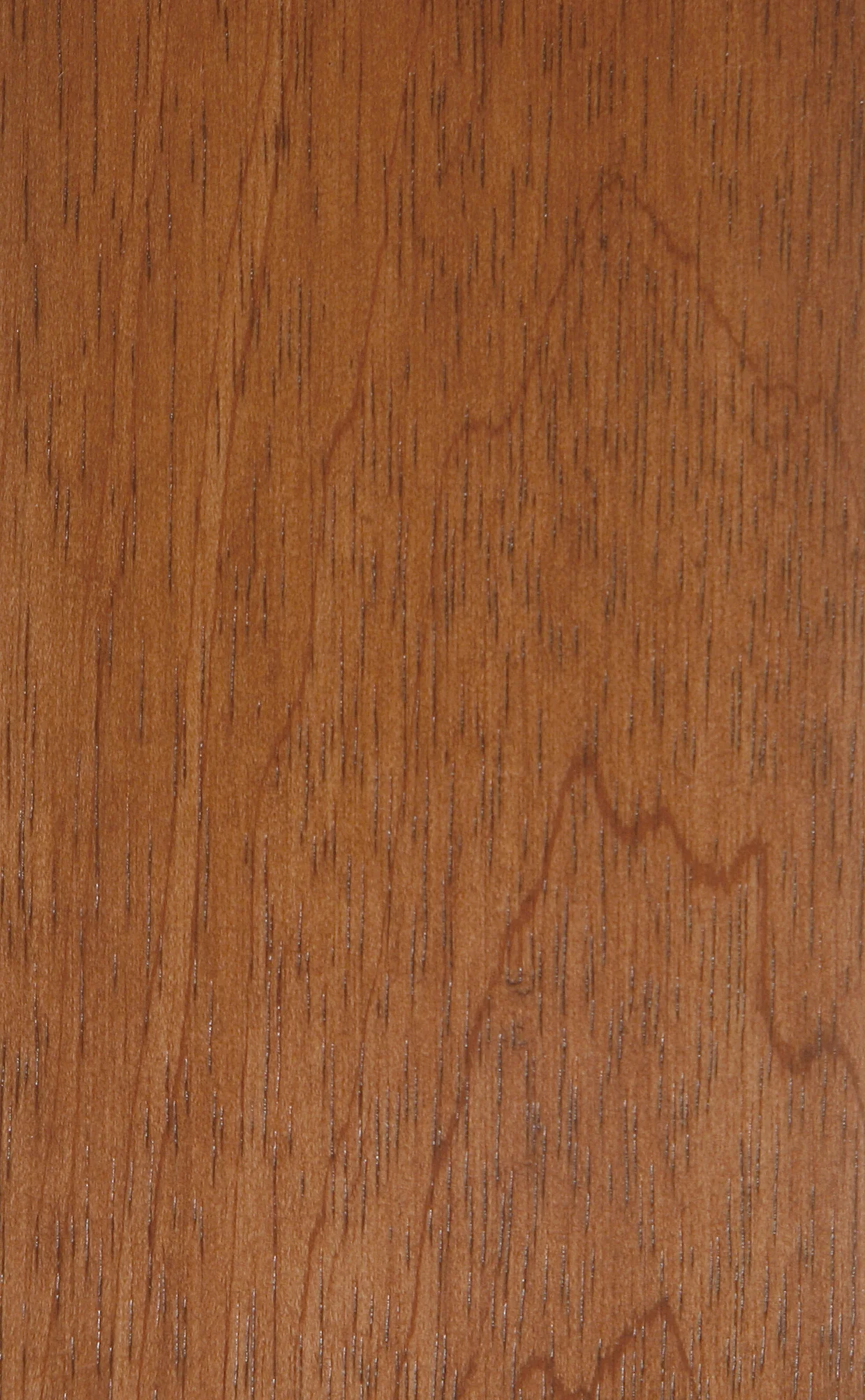 Brown Brushbox