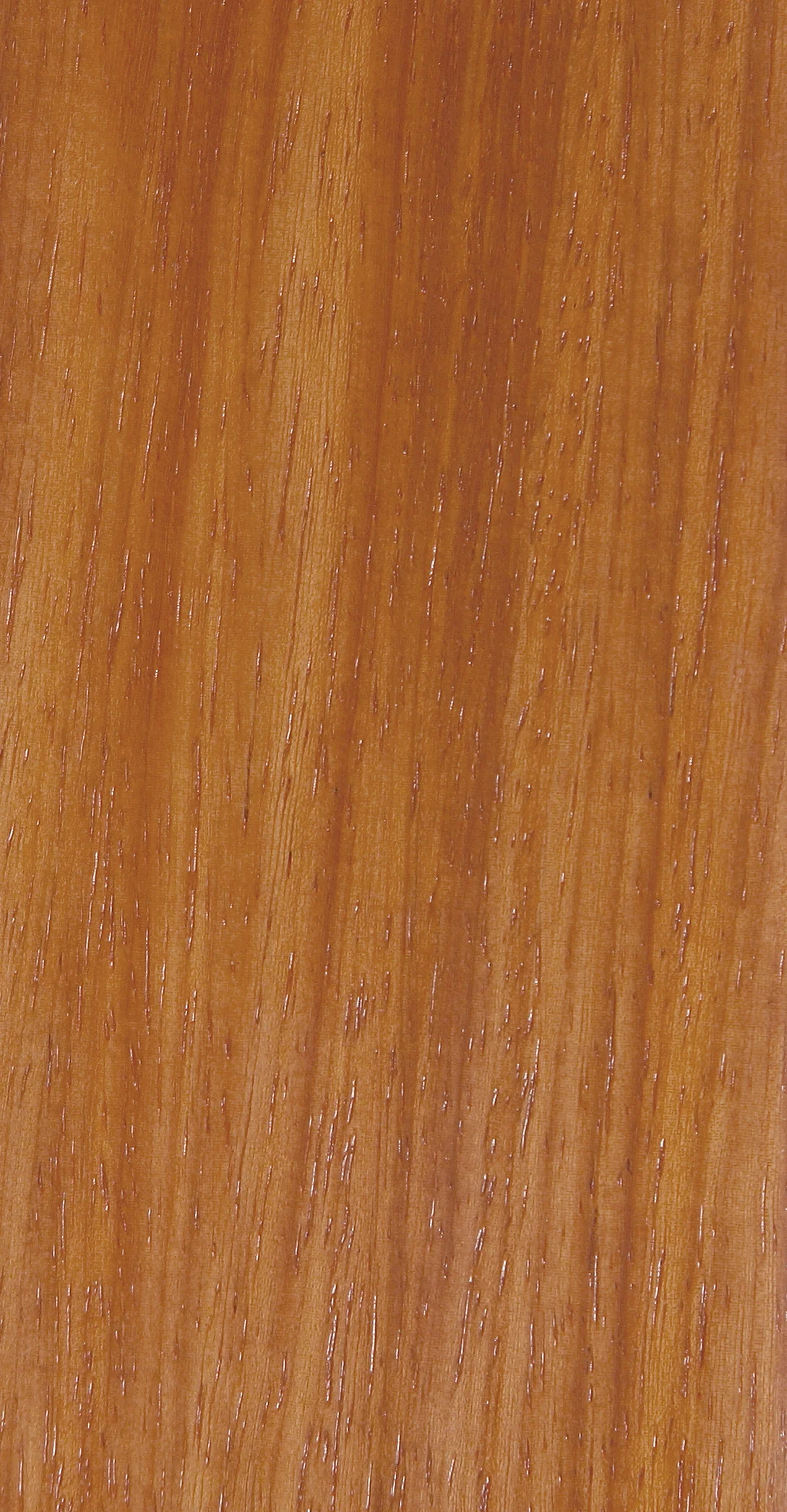 New Guinea Rosewood