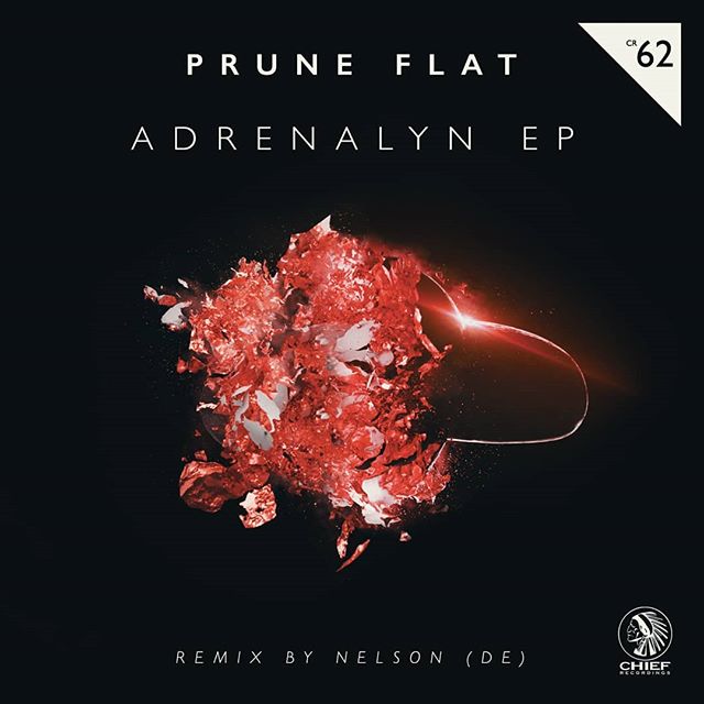 @pruneflat - Adrenalyn EP is available on Spotify, Traxsource, Beatport and many other platforms. Visit our profile here @chiefrecordings, click the link to our website to listen.
Or search us on Spotify. .
.
.
.
.
#chiefrecordings #housemusic #techh