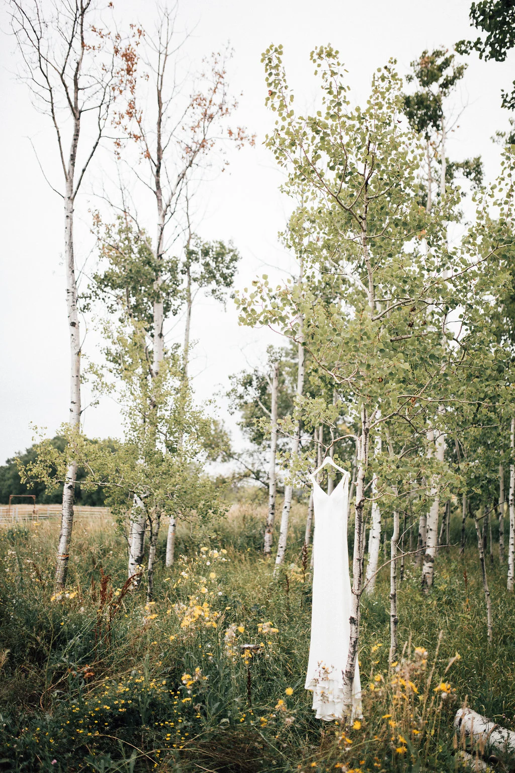 LauraDarcy.Wedding-30.jpg