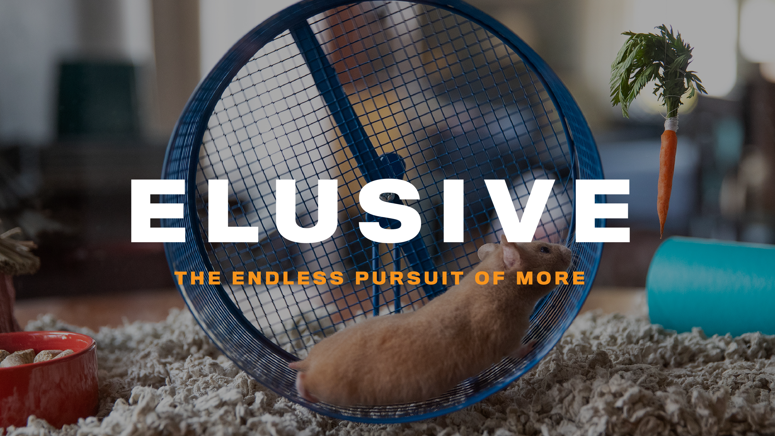 Elusive Week 3: Perfectionism