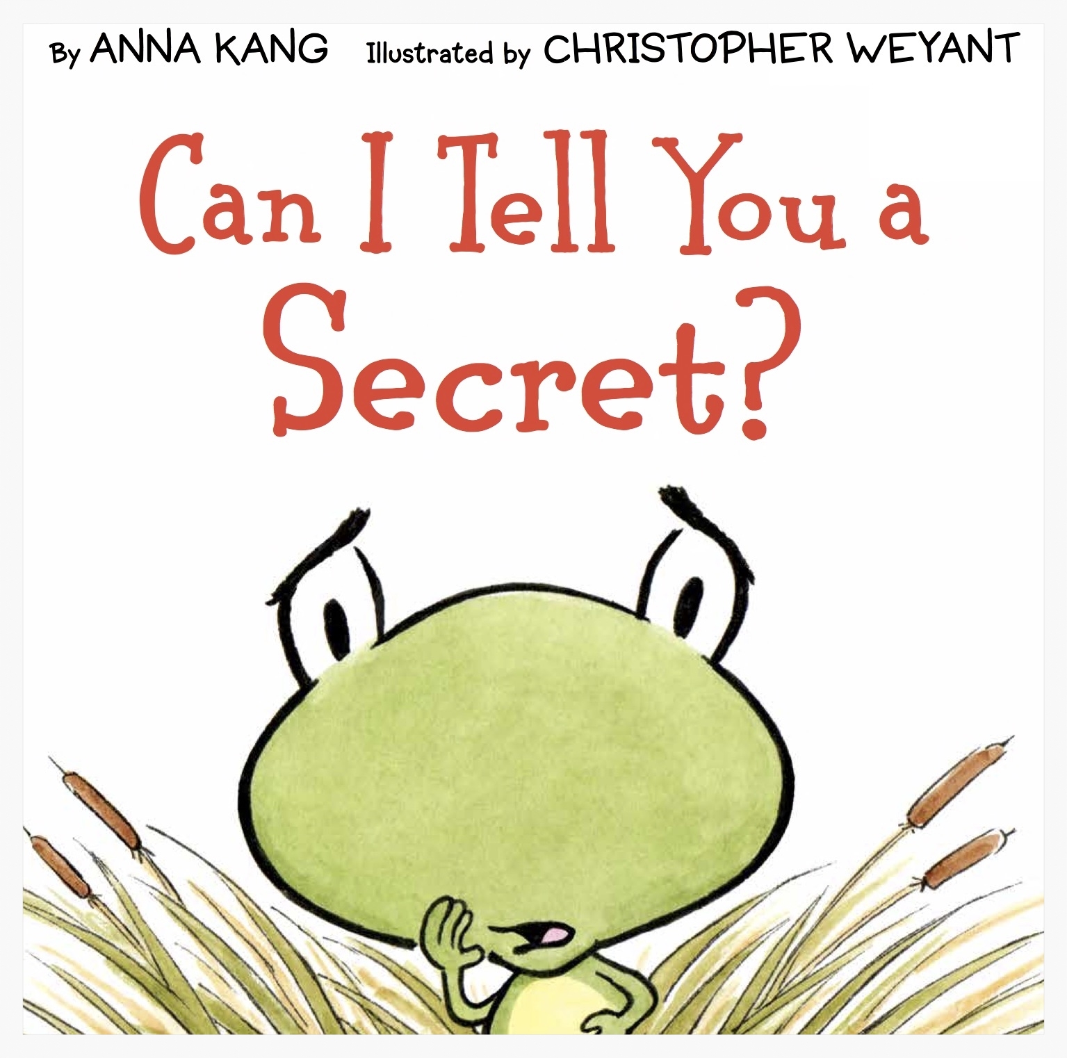 CanITellYouaSecret COVER.jpg