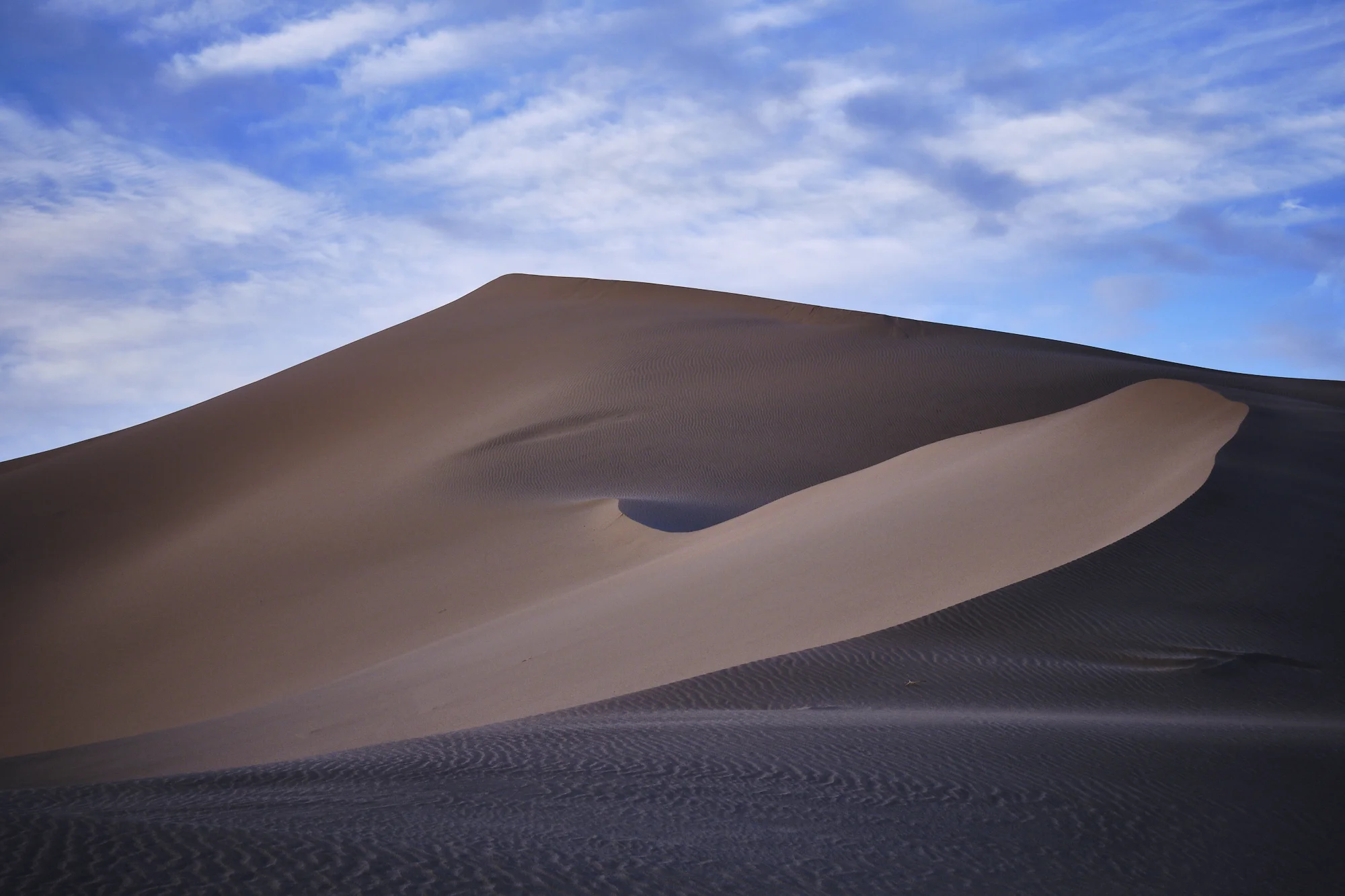 DSCF1137dunebluesq.jpg