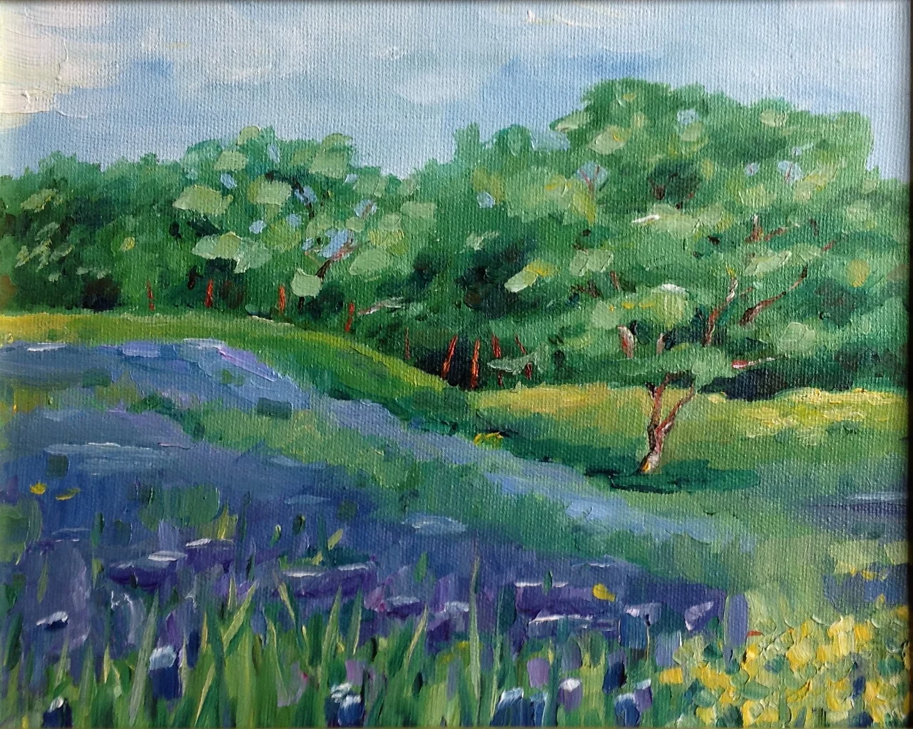 Bluebonnets Oil 8x10x1.JPG