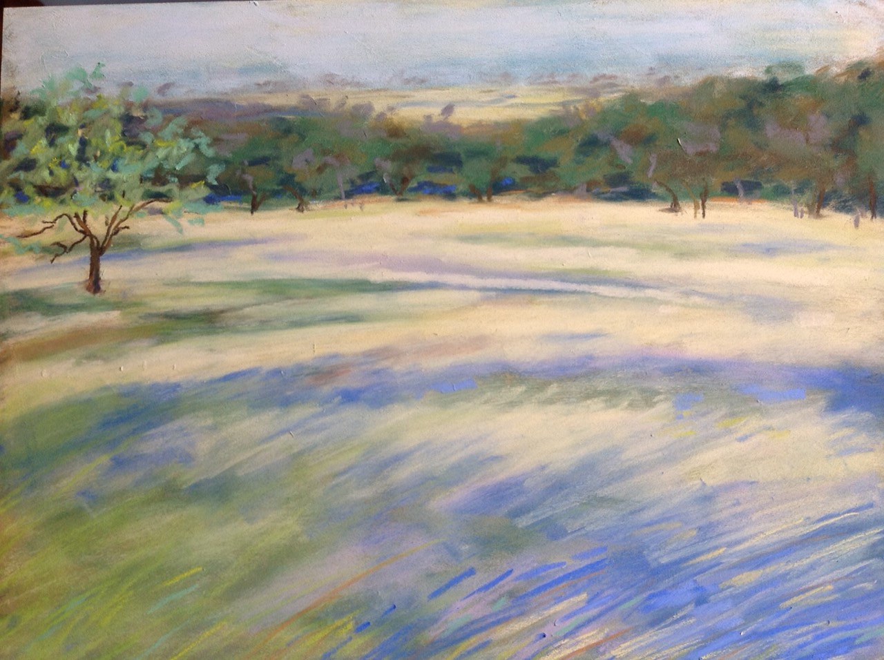 Ennis Bluebonnets, pastel on board 11x14.JPG