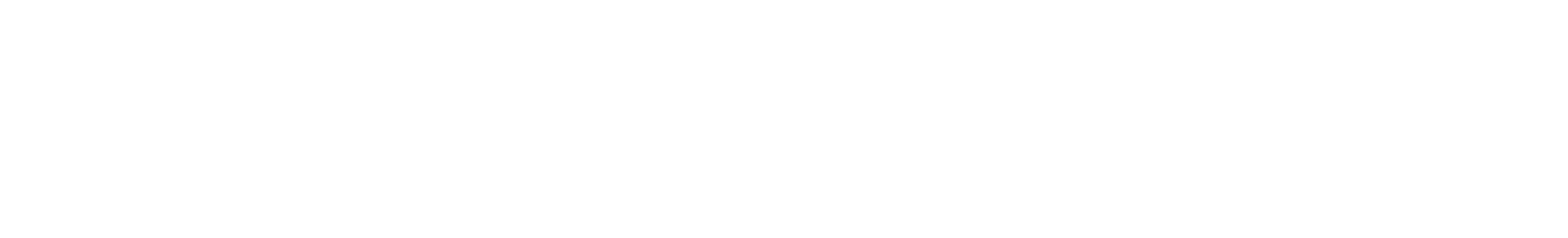 Website logo banner 2017.png