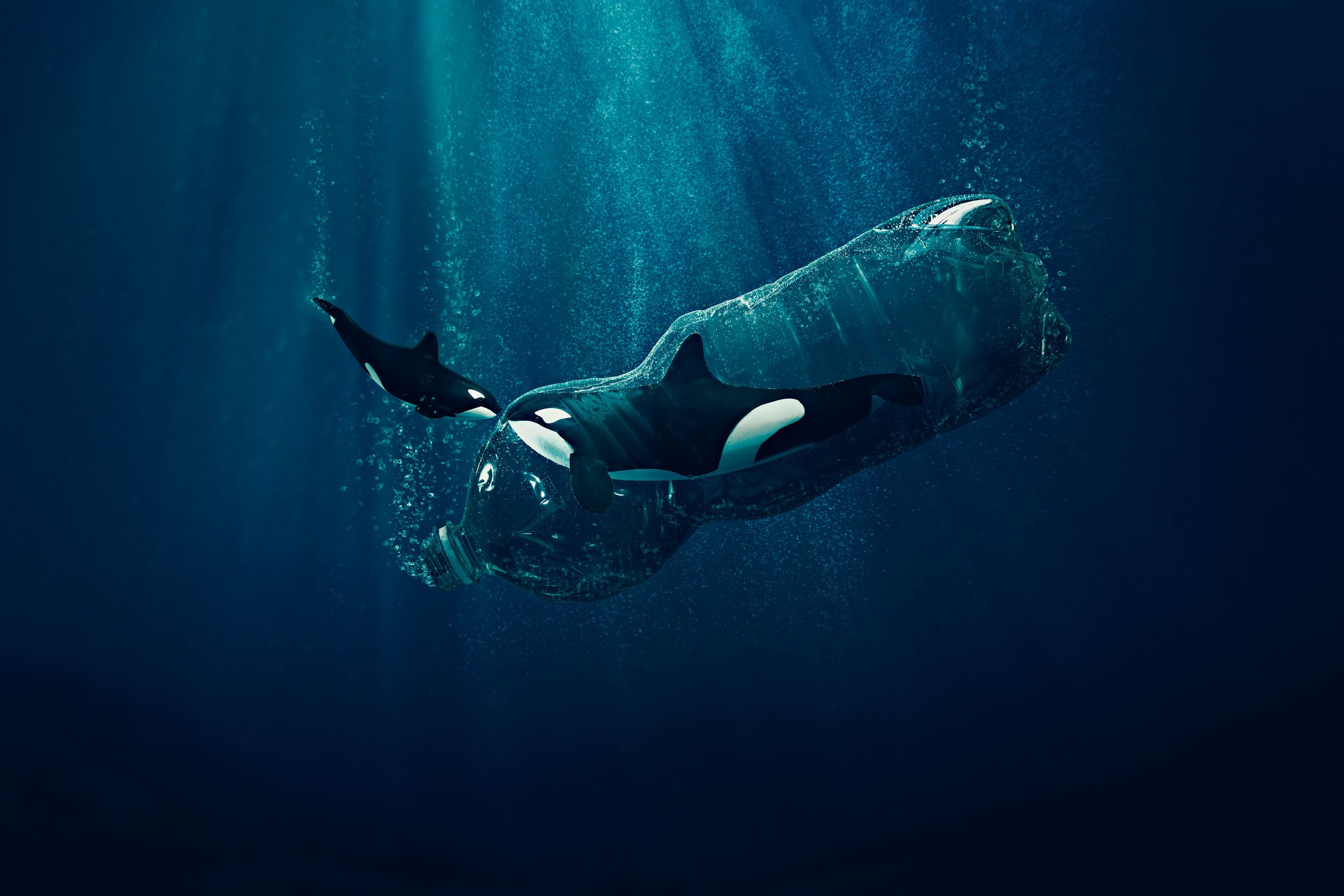 Orca - Wild Captivity | Miniature Worlds Project