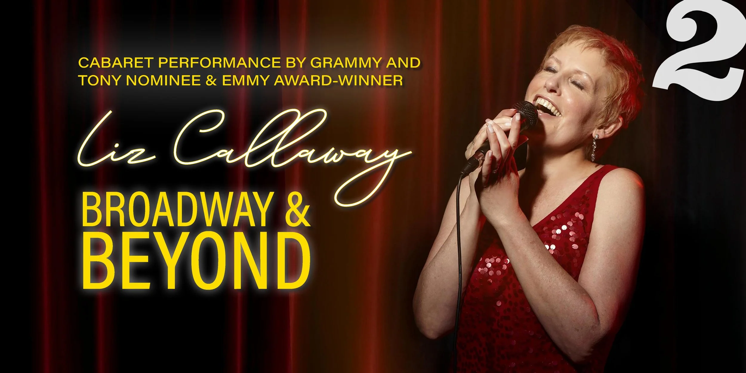 Liz Callaway website graphic.jpg