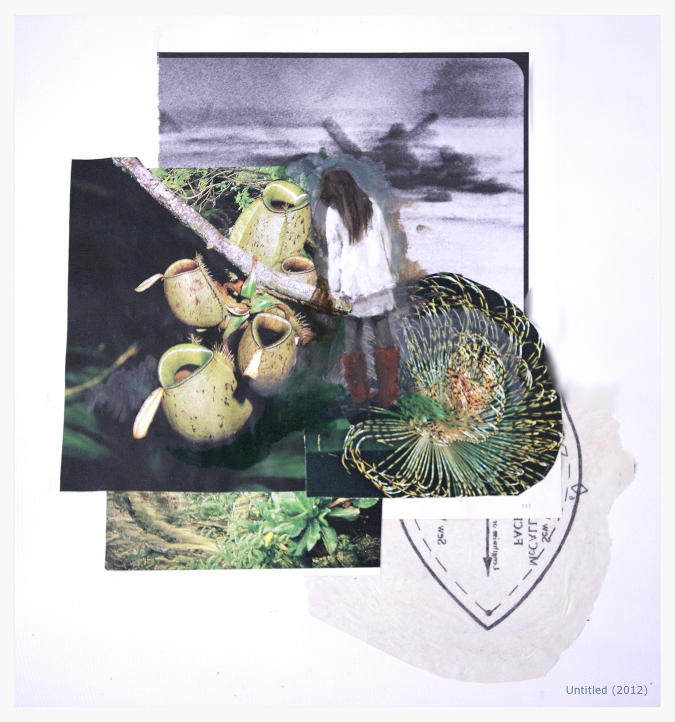 Untitled (2012) oil paint, appropriated material on paper
