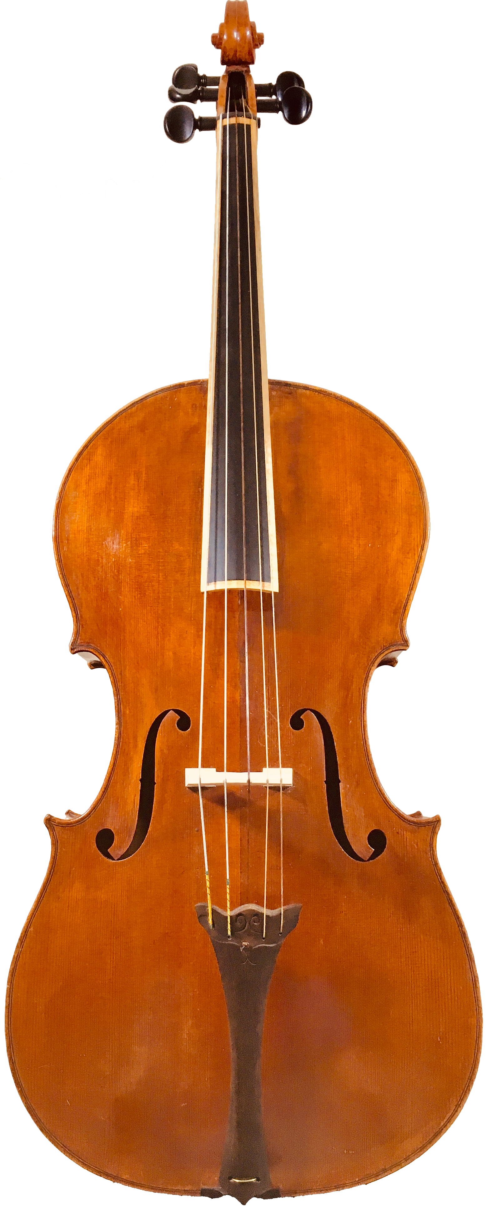 5-String-cello-piccolo-chelo-Detmar-Leertouwer-Tanja-Brandon-.png