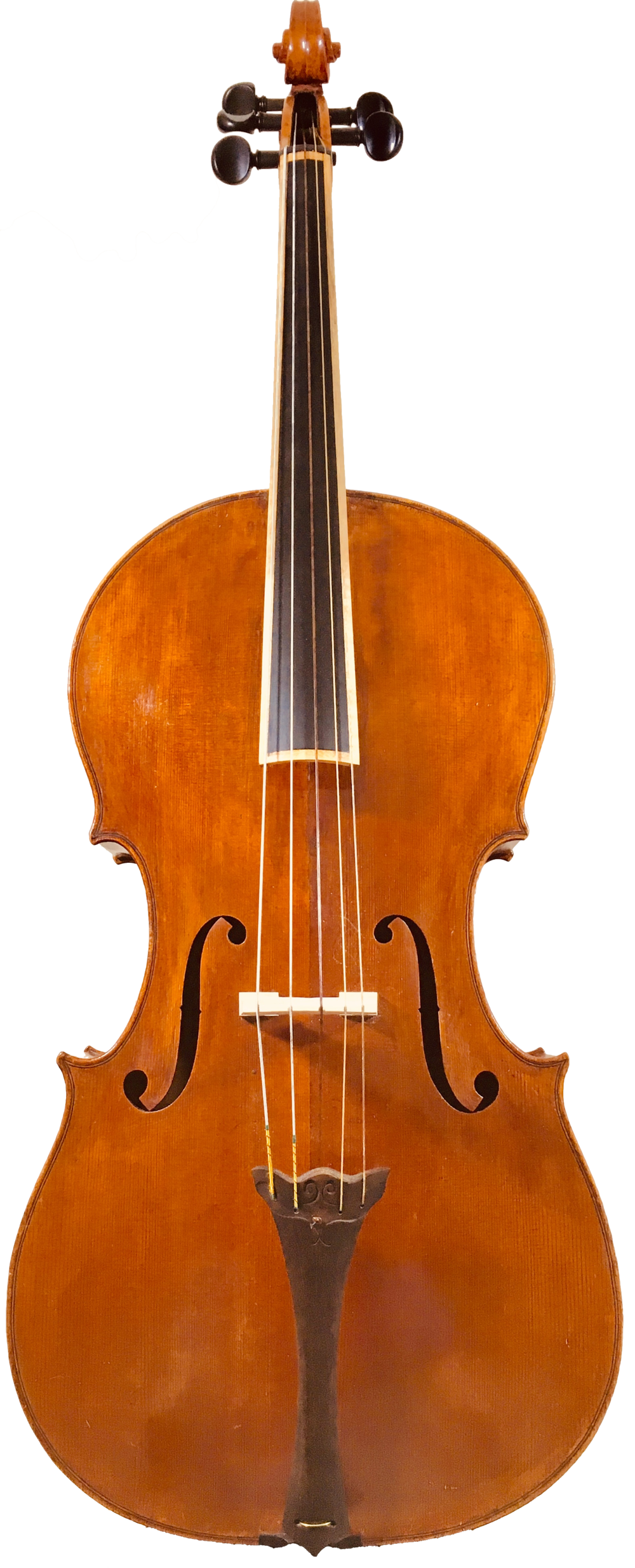 5-String-cello-piccolo-chelo-Detmar-Leertouwer-Tanja-Brandon-.png