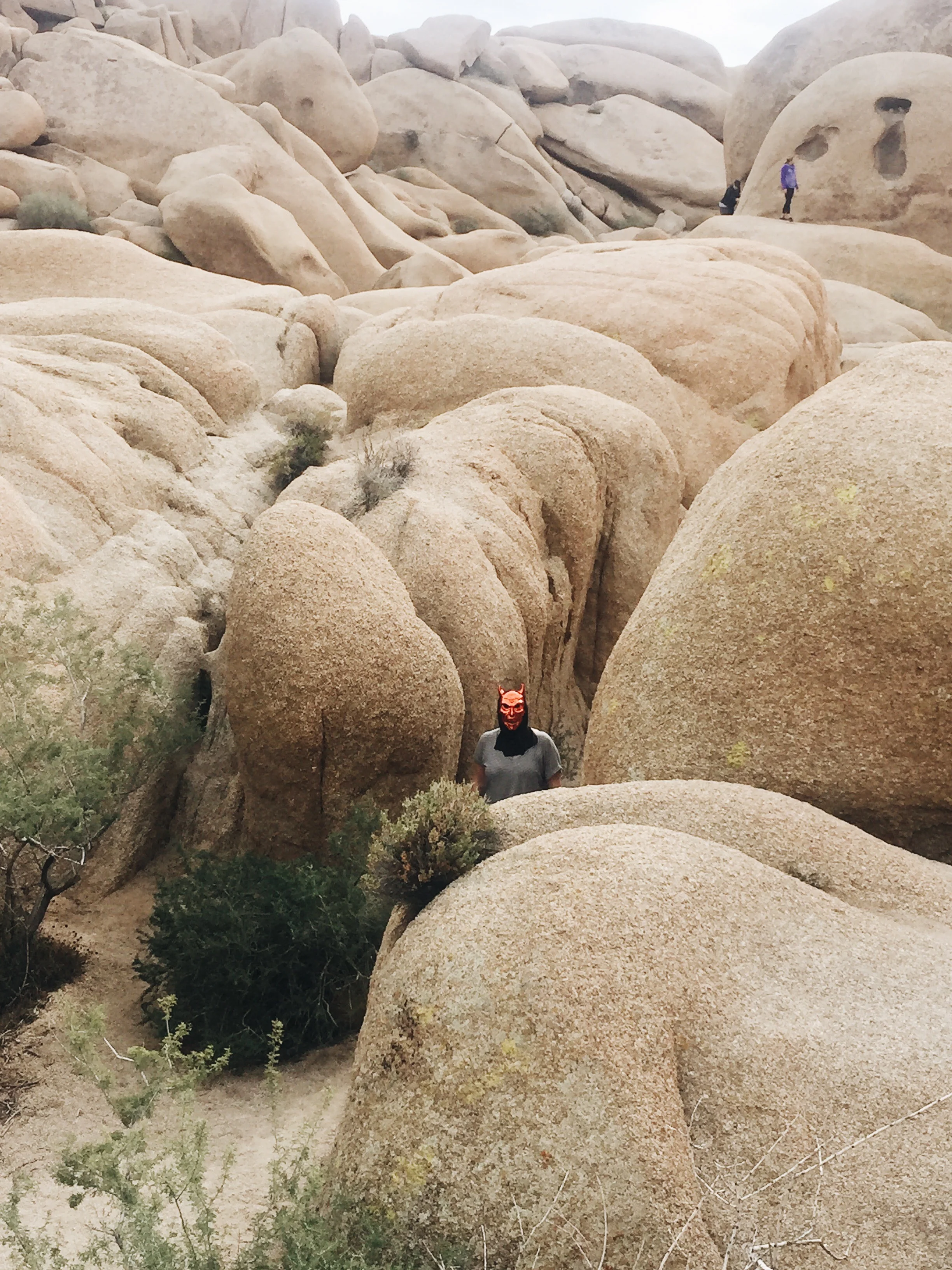  joshua tree, california 