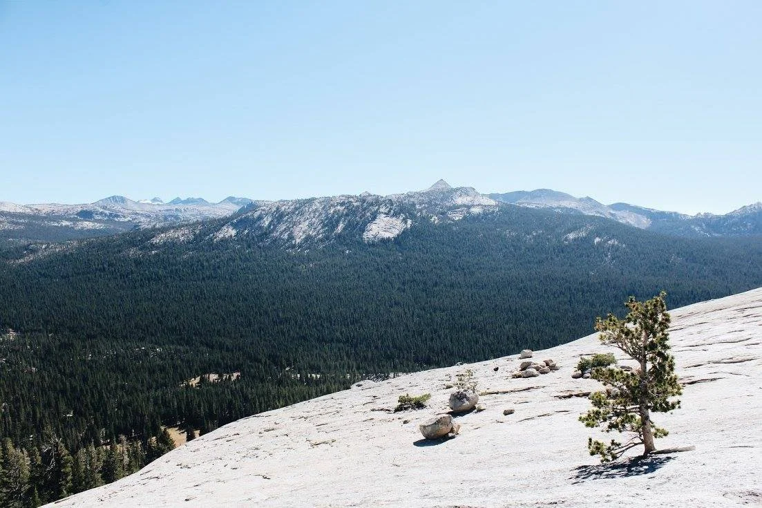 lambert dome, yosemite, california