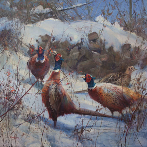  Winter Foraging, Ringneck Pheasants 26" x 26" oil  Troika Gallery  