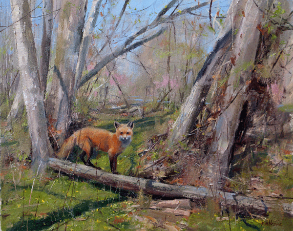 "In Her Lair" 16" x 20" oil Highlands Art Gallery