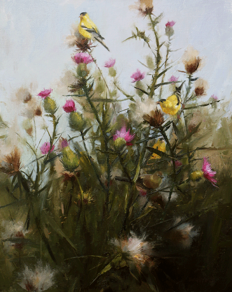  "Thistle and Down" 20" x 16" oil  H  ighlands Art Gallery &nbsp; SOLD 