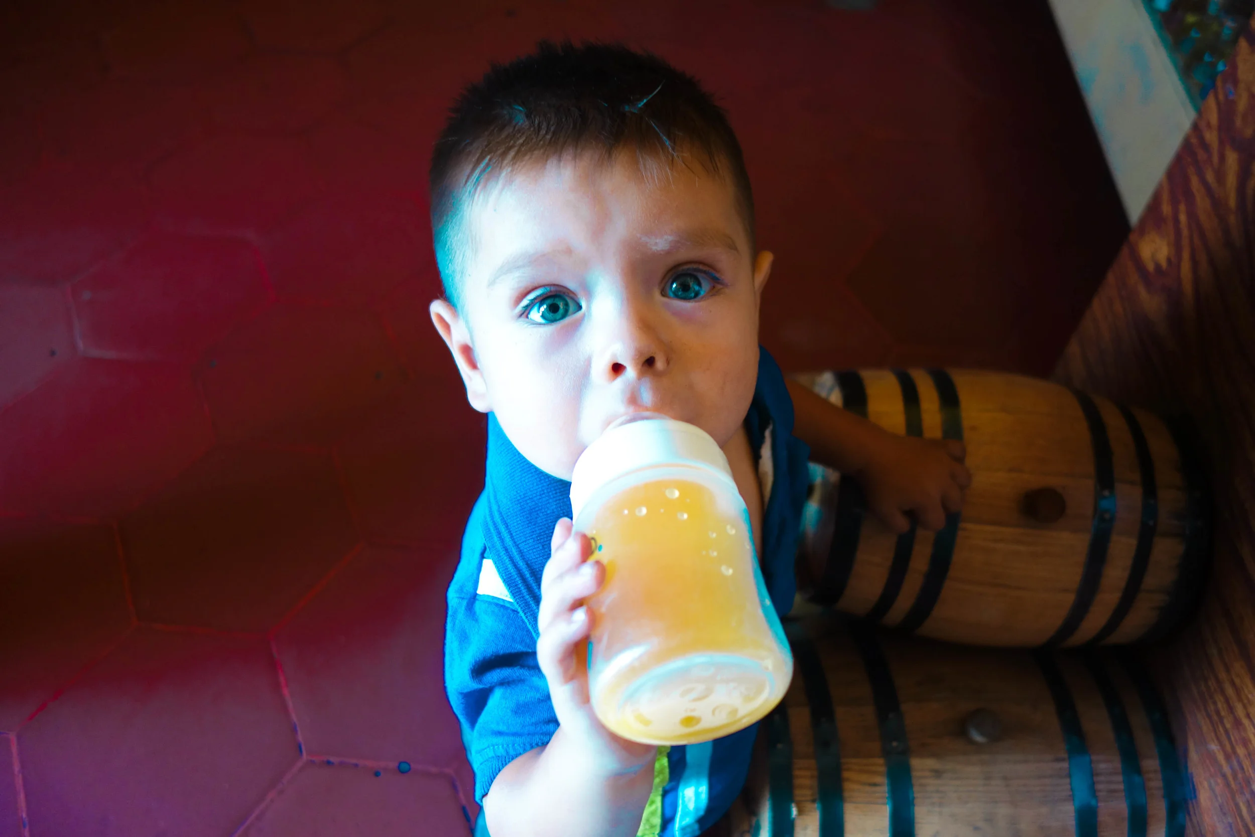 DSC09734.jpg