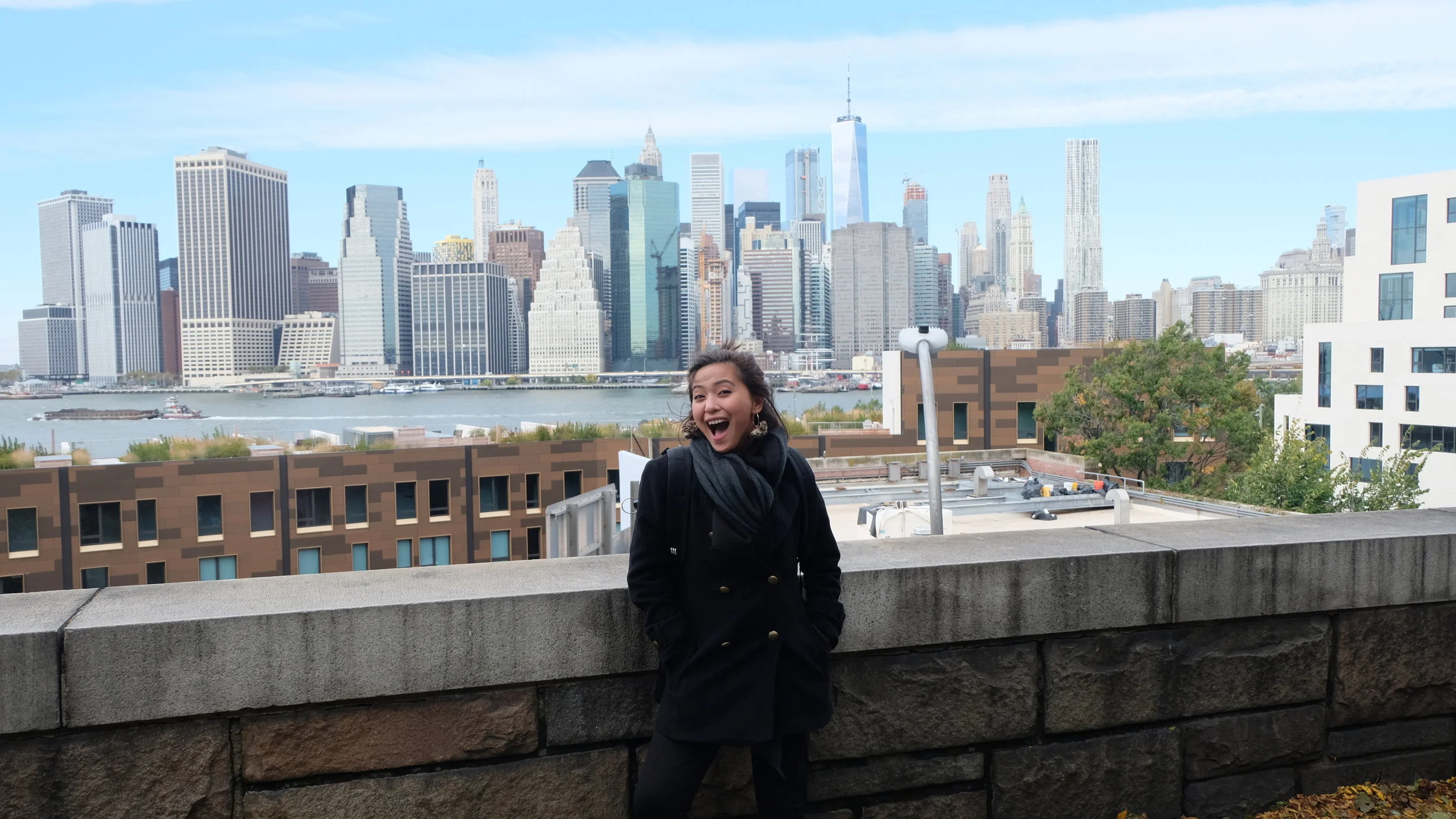 Joyce to the World: New York 2017