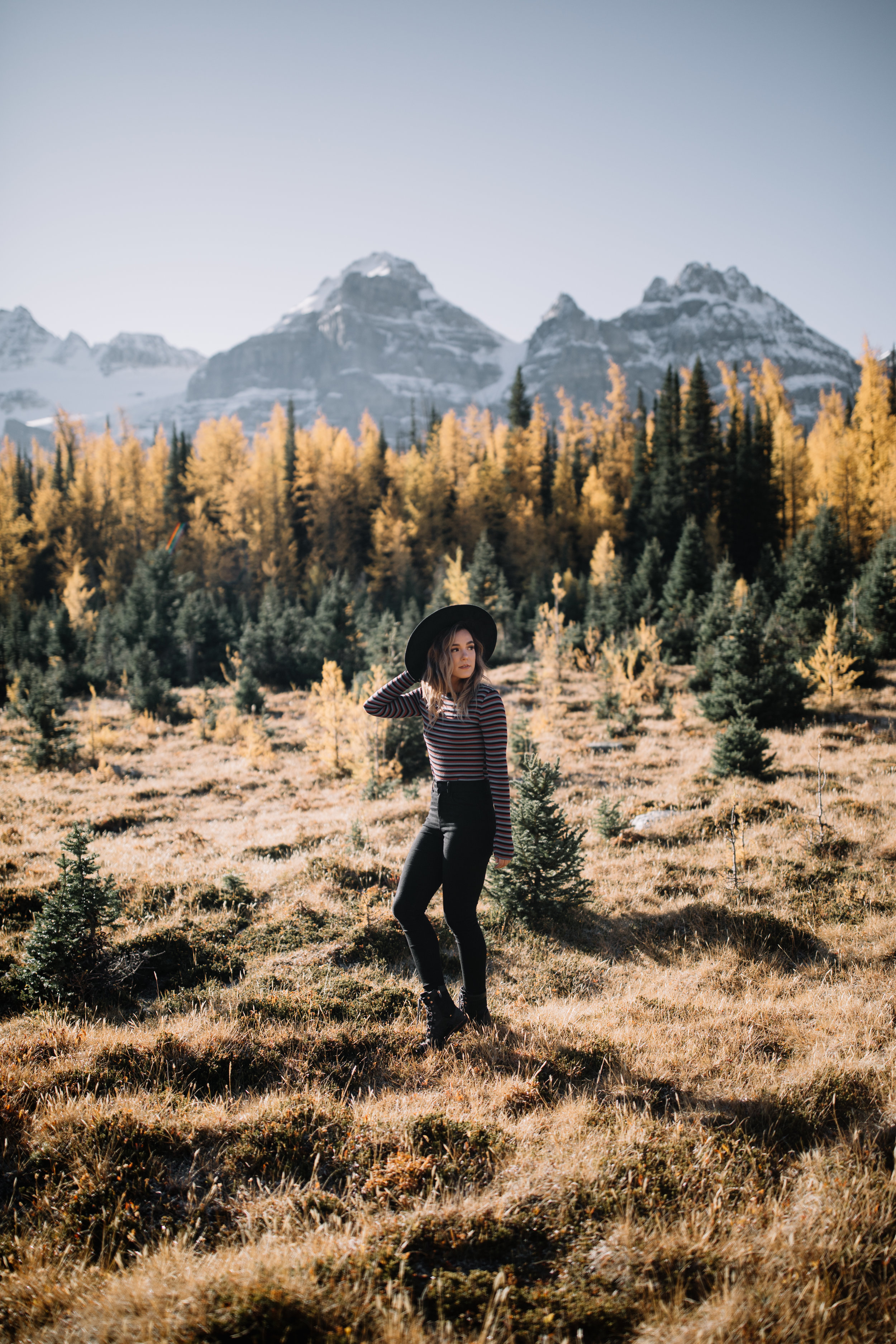 larches-13.JPG