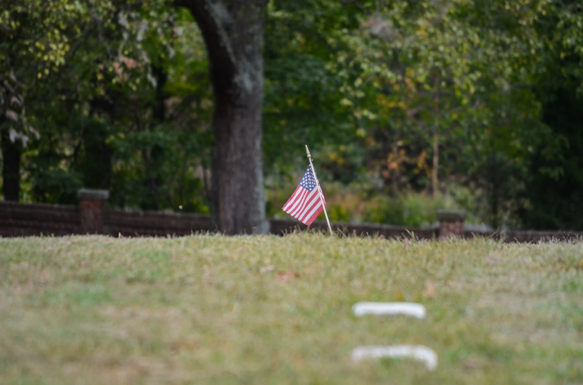 Flag in cemetery.jpg