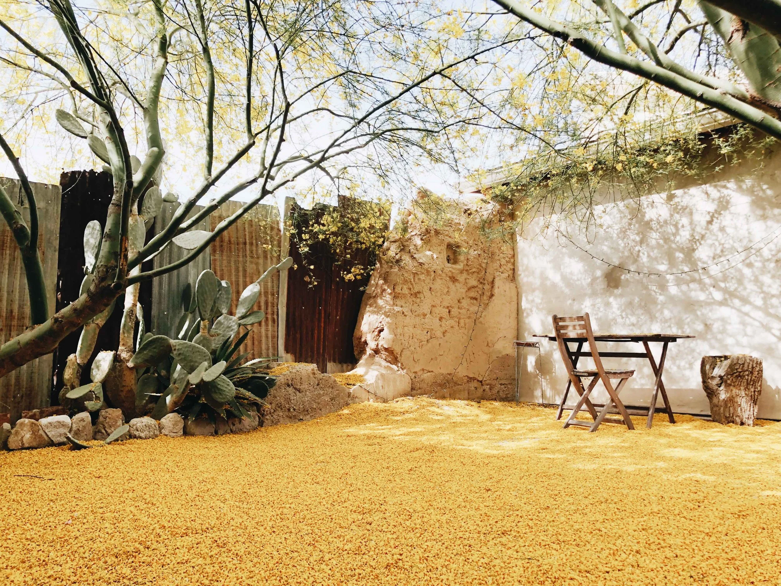 2246730C-1DB4-484F-9277-07FCCD1C25D0 2.jpeg